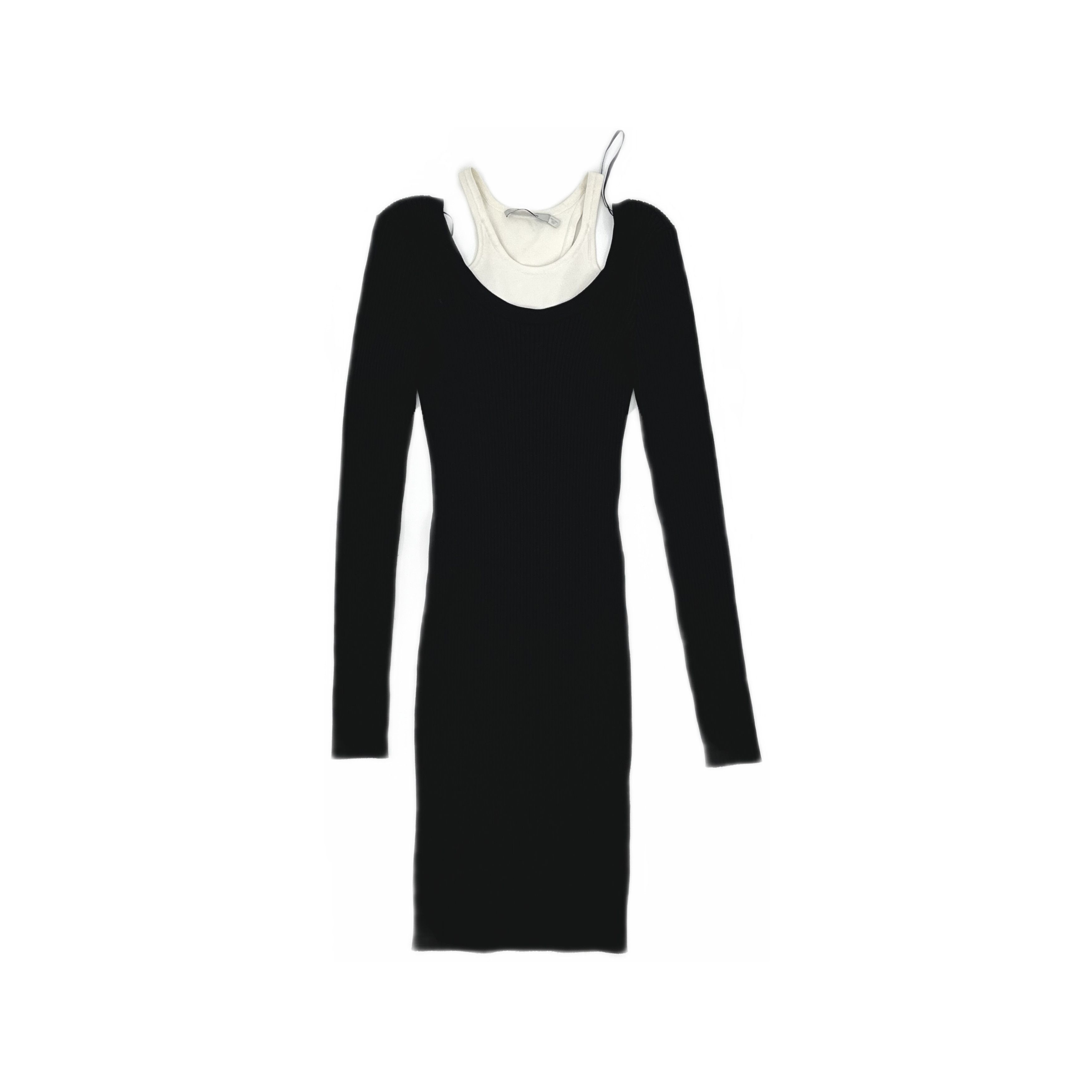 Alexander Wang Alexander Wang Layered Ribbed Mini Dress Size XS Size XS / US 0-2 / IT 36-38 - 1 Thumbnail