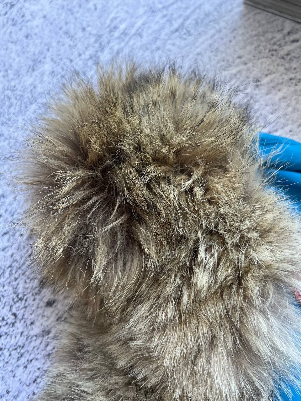 Canada Goose NEW CANADA GOOSE AVIATOR HAT FUR L/XL Size 34 - 15 Thumbnail