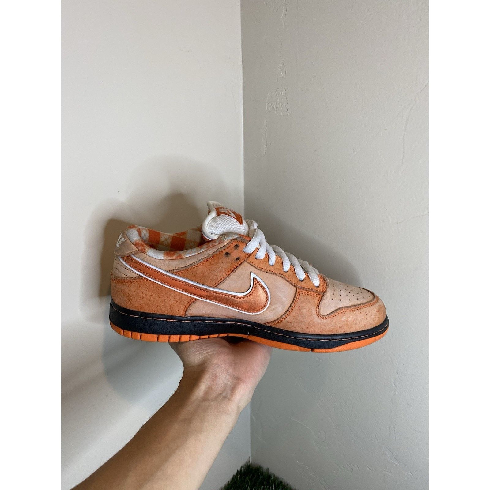 Nike SB Dunk Low Concepts 