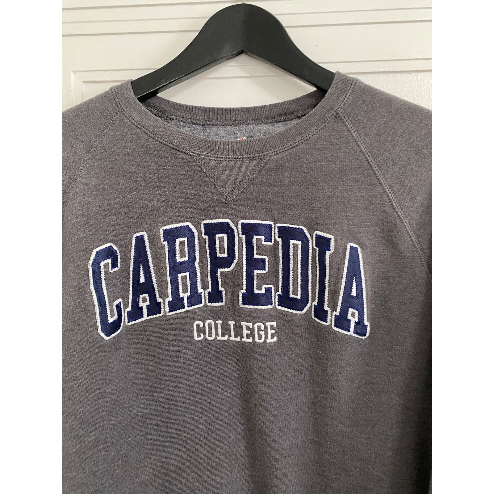Hanes Carpedia College Stitched Crewneck Sweatshirt Size Large Size US L / EU 52-54 / 3 - 2 Thumbnail
