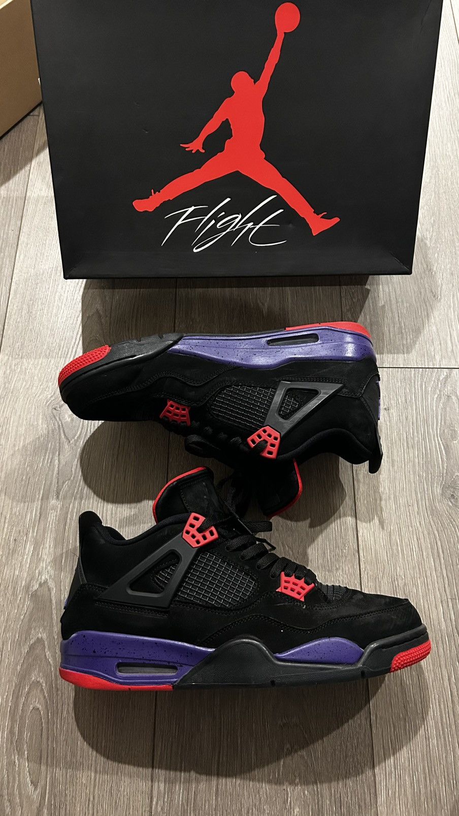 Jordan Brand Jordan 4 Raptor | Grailed
