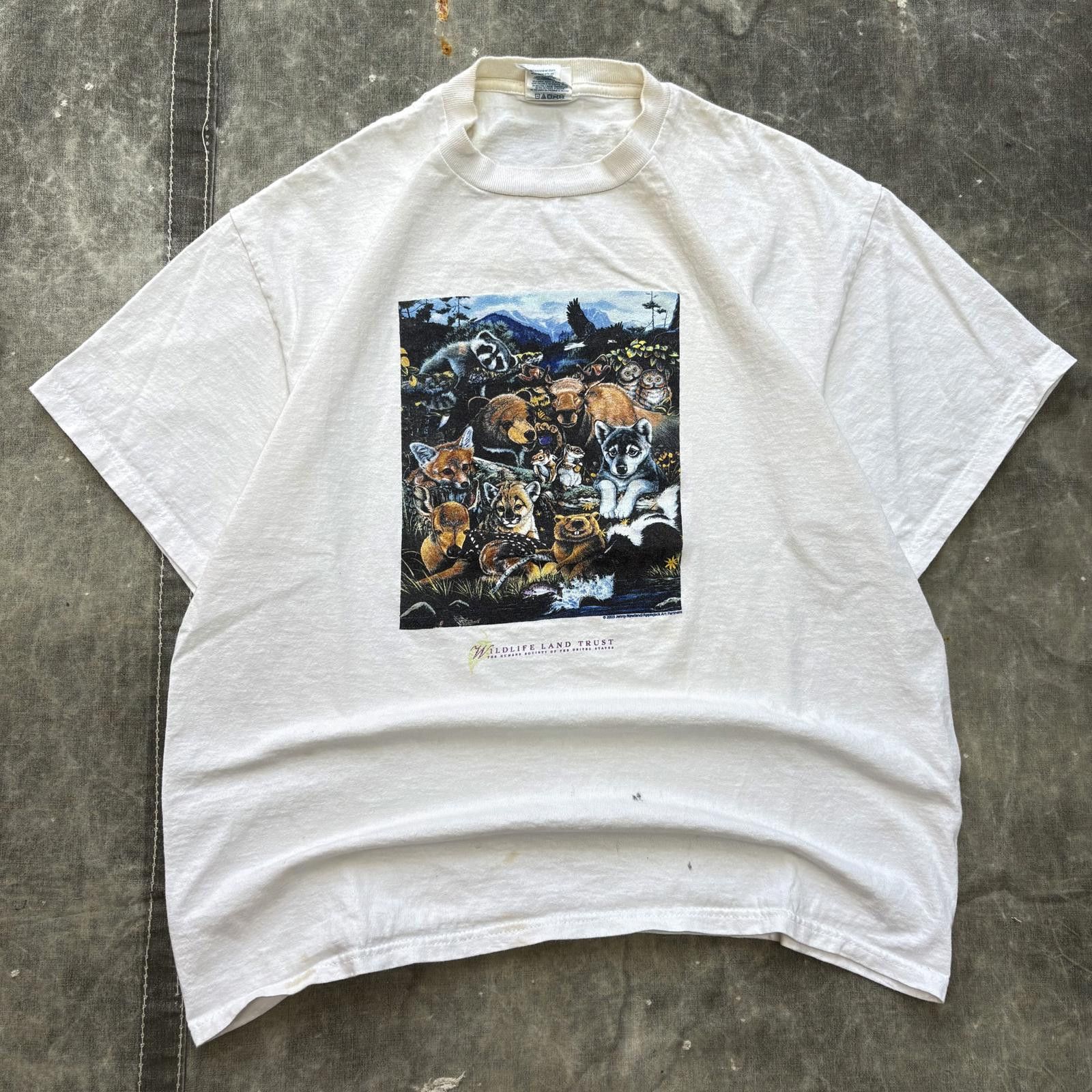 Delta Vintage Y2K Animals Wildlife Nature Conservation Shirt Size US M / EU 48-50 / 2 - 1 Thumbnail