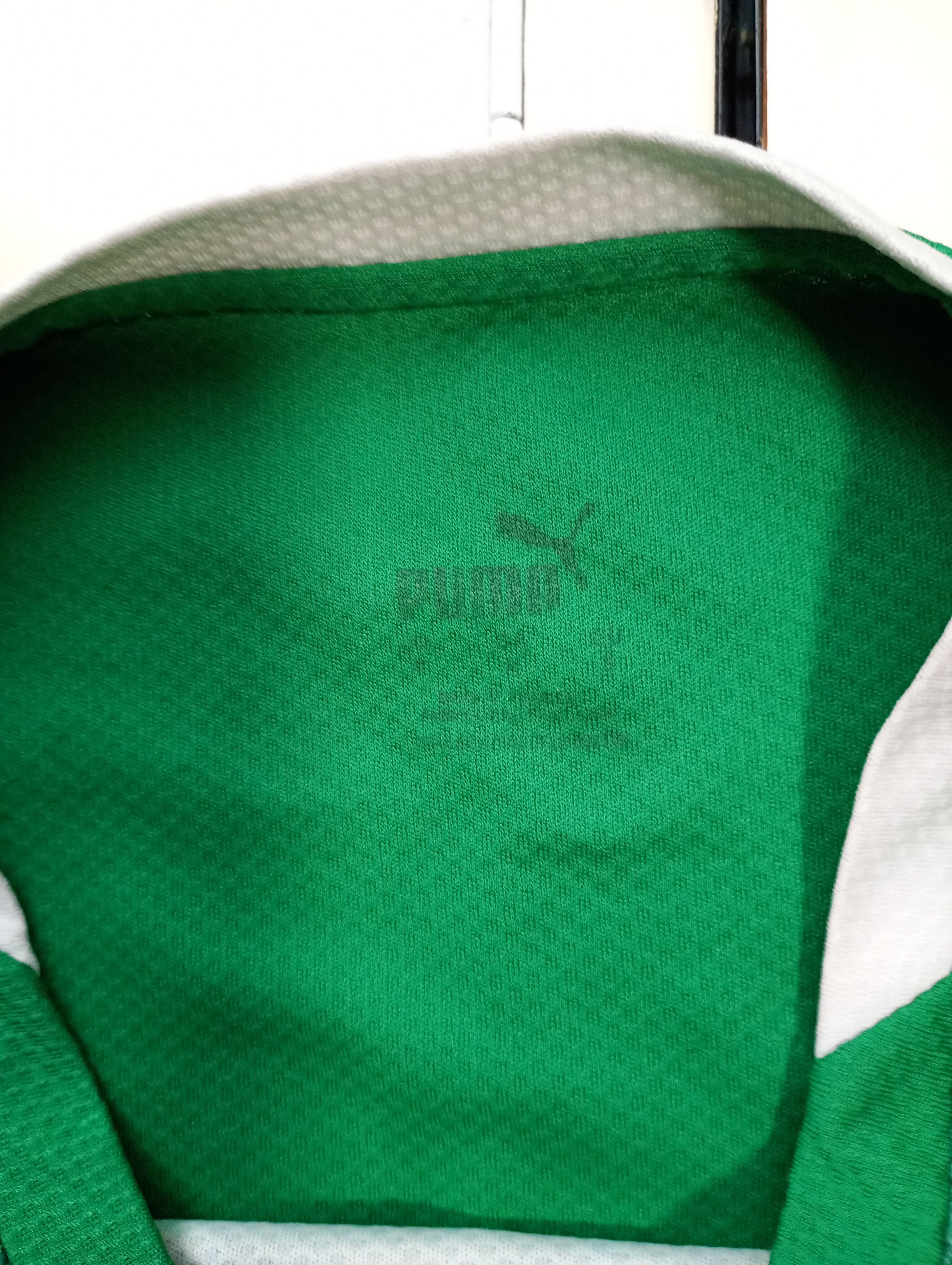 Puma Puma Plymouth Argyle FC Home Jersey 2024-2025 Size US S / EU 44-46 / 1 - 11 Thumbnail