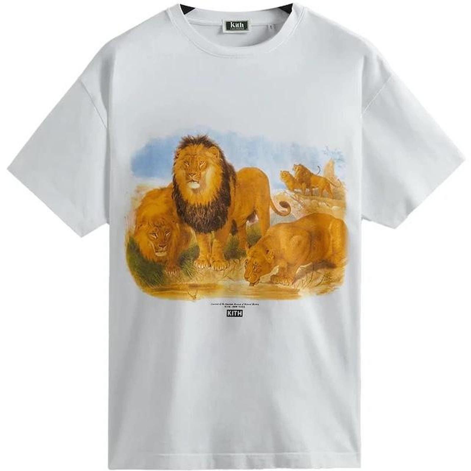 image of Kith X Amnh Lion Vintage T Shirt in White, Men's (Size 2XL)