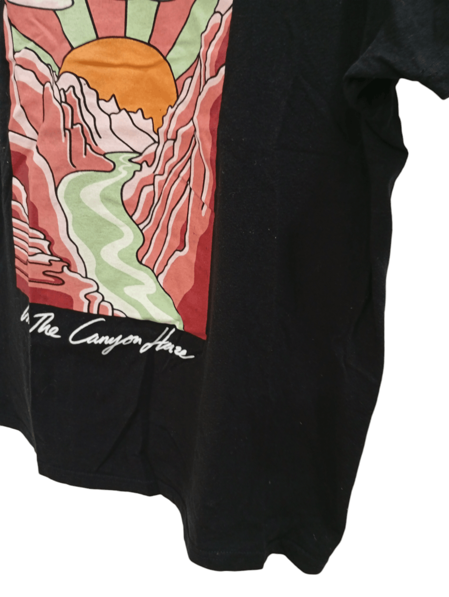 Band Tees × Vintage 🔥🔥Brandi Carlile In the Canyon Haze T-Shirt Size US M / EU 48-50 / 2 - 12 Thumbnail