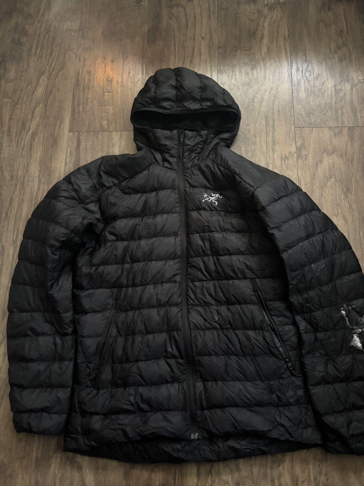 Arc'teryx Gamma LT Jacket - Men's | REI Co-op