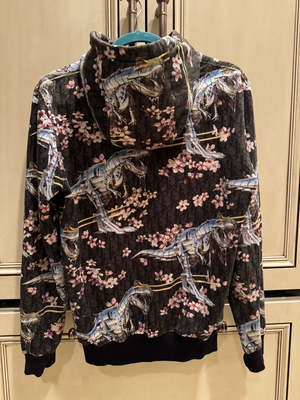 Dior dinosaur hoodie on sale