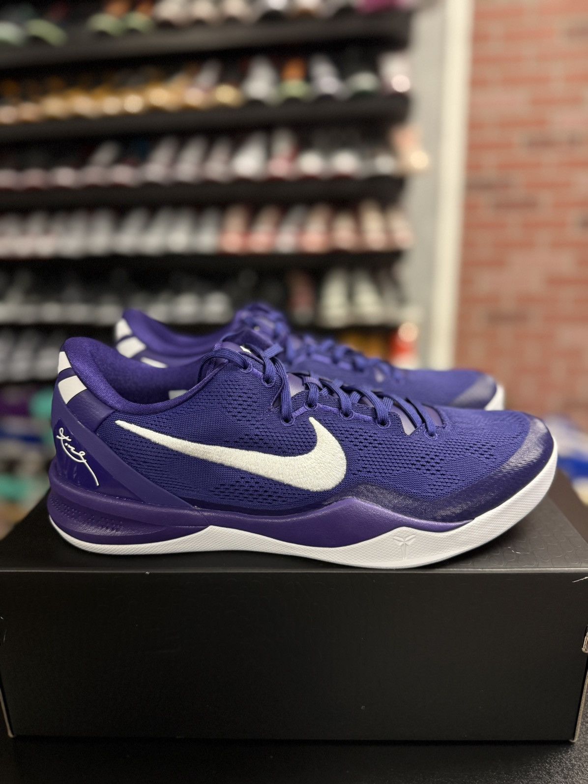 Nike Kobe VIII 8 Protro TB Promo Purple Size 12.5 HM6469-500 PE Size US 13 / EU 46 - 2 Thumbnail