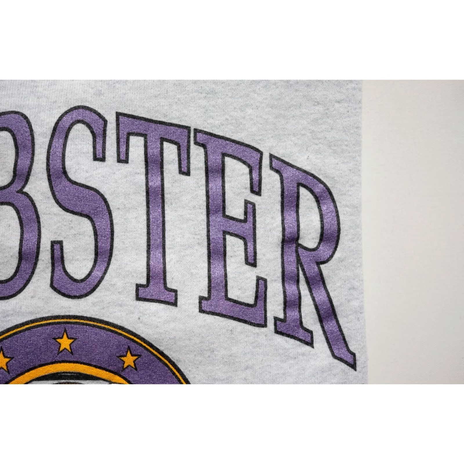 Fruit Of The Loom VINTAGE Fruit of the Loom Webster New York Graphic Gray Distressed Sweatshirt L Size US L / EU 52-54 / 3 - 4 Thumbnail