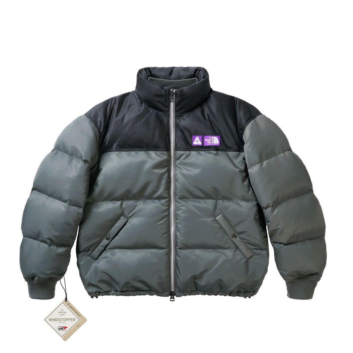 Palace North Face Purple Label Jacket