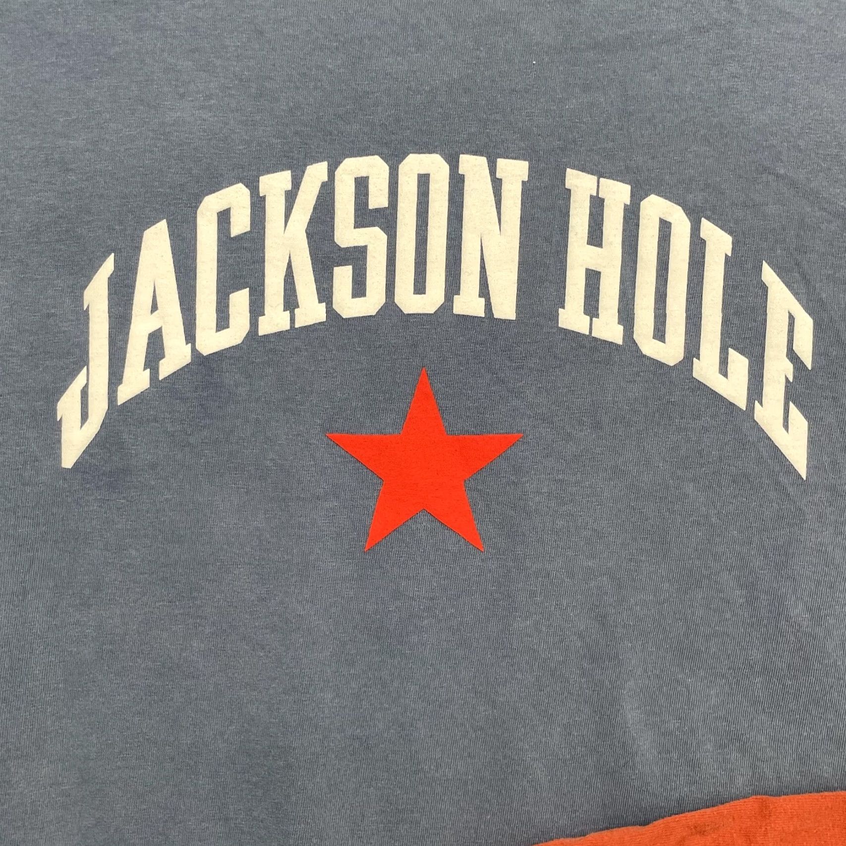 Gildan VINTAGE Jackson hole Yellowstone Destination T-Shirt Lot of 2 Men Large Camping Gorpcore Size US L / EU 52-54 / 3 - 4 Thumbnail