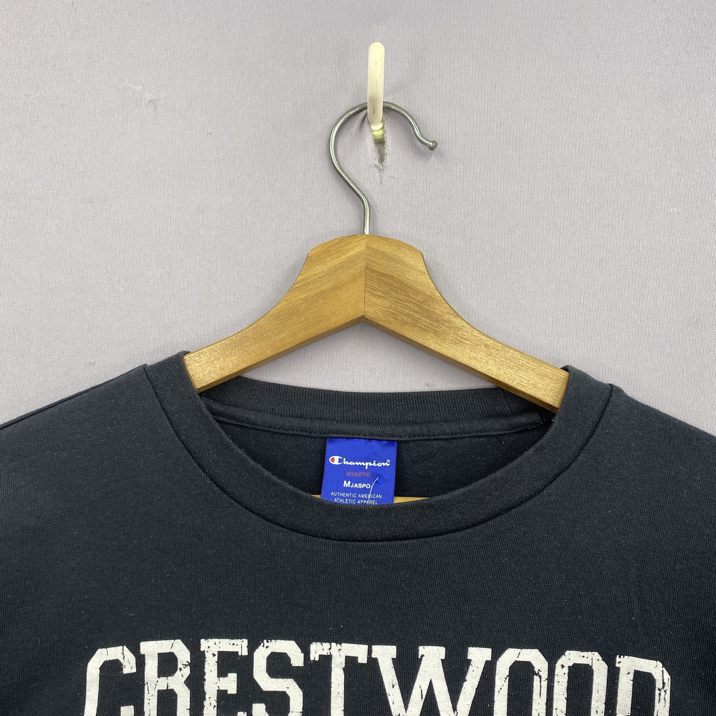 Champion Vintage Y2K Champion Tshirts Champion Crestwood Crewneck Tee Size US M / EU 48-50 / 2 - 4 Thumbnail