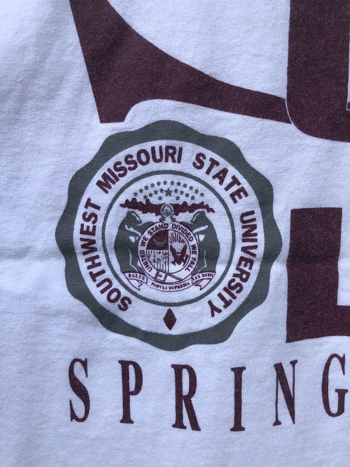 Japanese Brand × Vintage Vintage 90s Jansport Southwest Missouri State University Tee Size US L / EU 52-54 / 3 - 5 Thumbnail