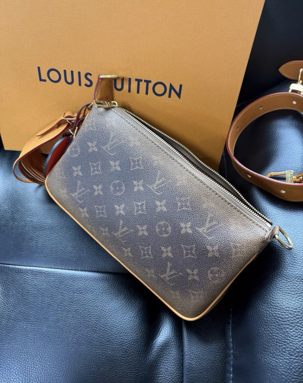 Louis Vuitton LOUIS VUITTON LV POCHEITE ACCESSOIRES XL Size ONE SIZE - 3 Thumbnail