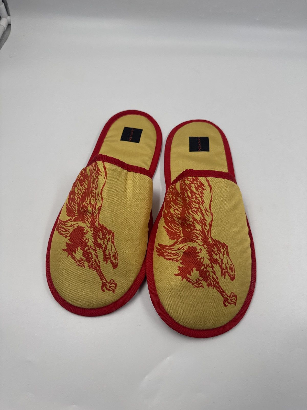 Lanvin Slippers