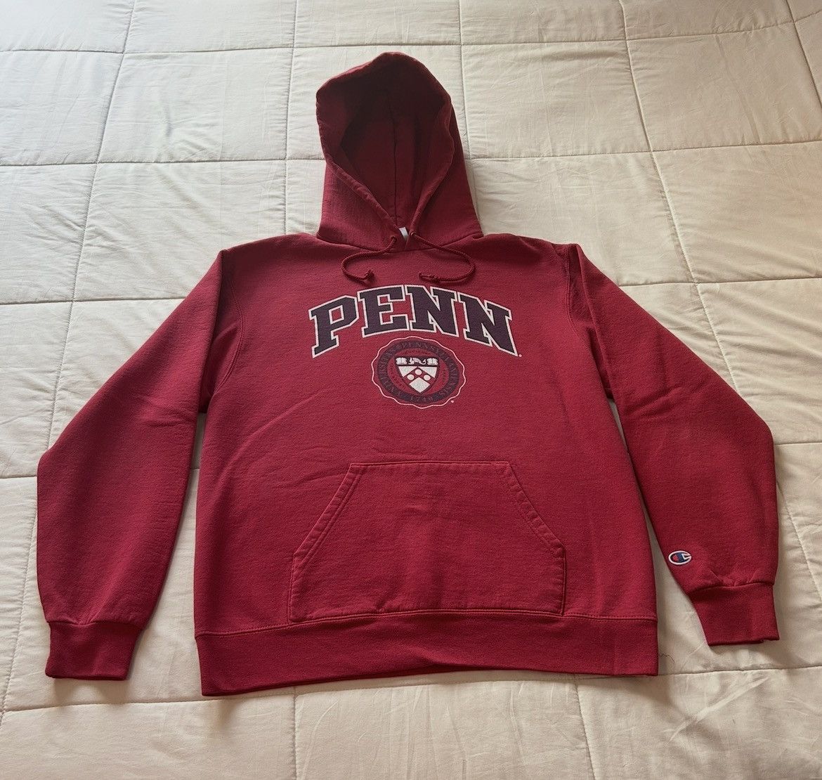 Champion University of Pennsylvania UPenn Champion Eco Fleece Hoodie Size US M / EU 48-50 / 2 - 1 Thumbnail