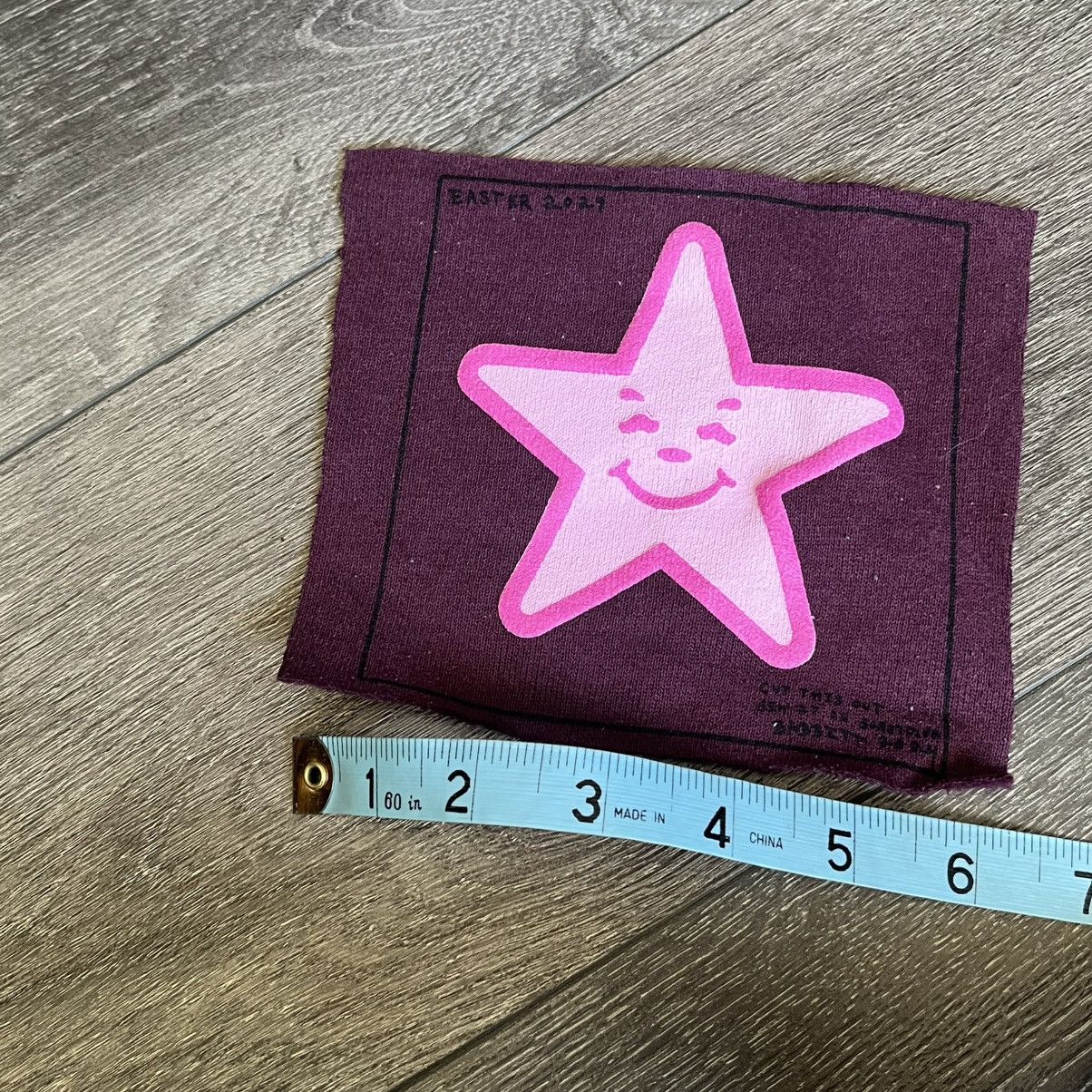 Asspizza Asspizza Pink Hardees Carl’s Jr Star Logo Fabric Patch 2024 Size ONE SIZE - 4 Thumbnail