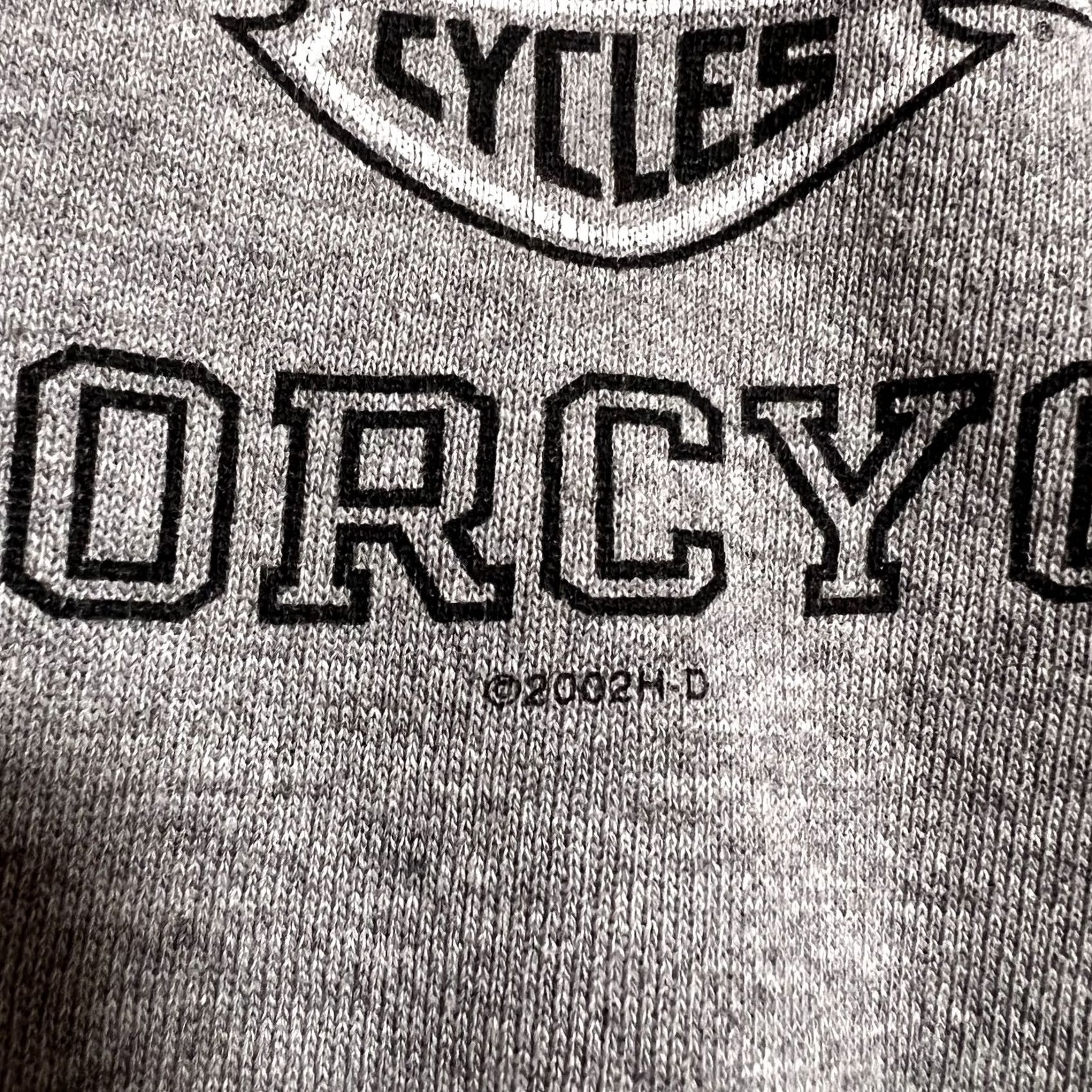 Harley Davidson Harley-Davidson Hoodie Mens Vintage Gray 2002 L Logo Cotton Polyester Shirt? Size US L / EU 52-54 / 3 - 5 Thumbnail
