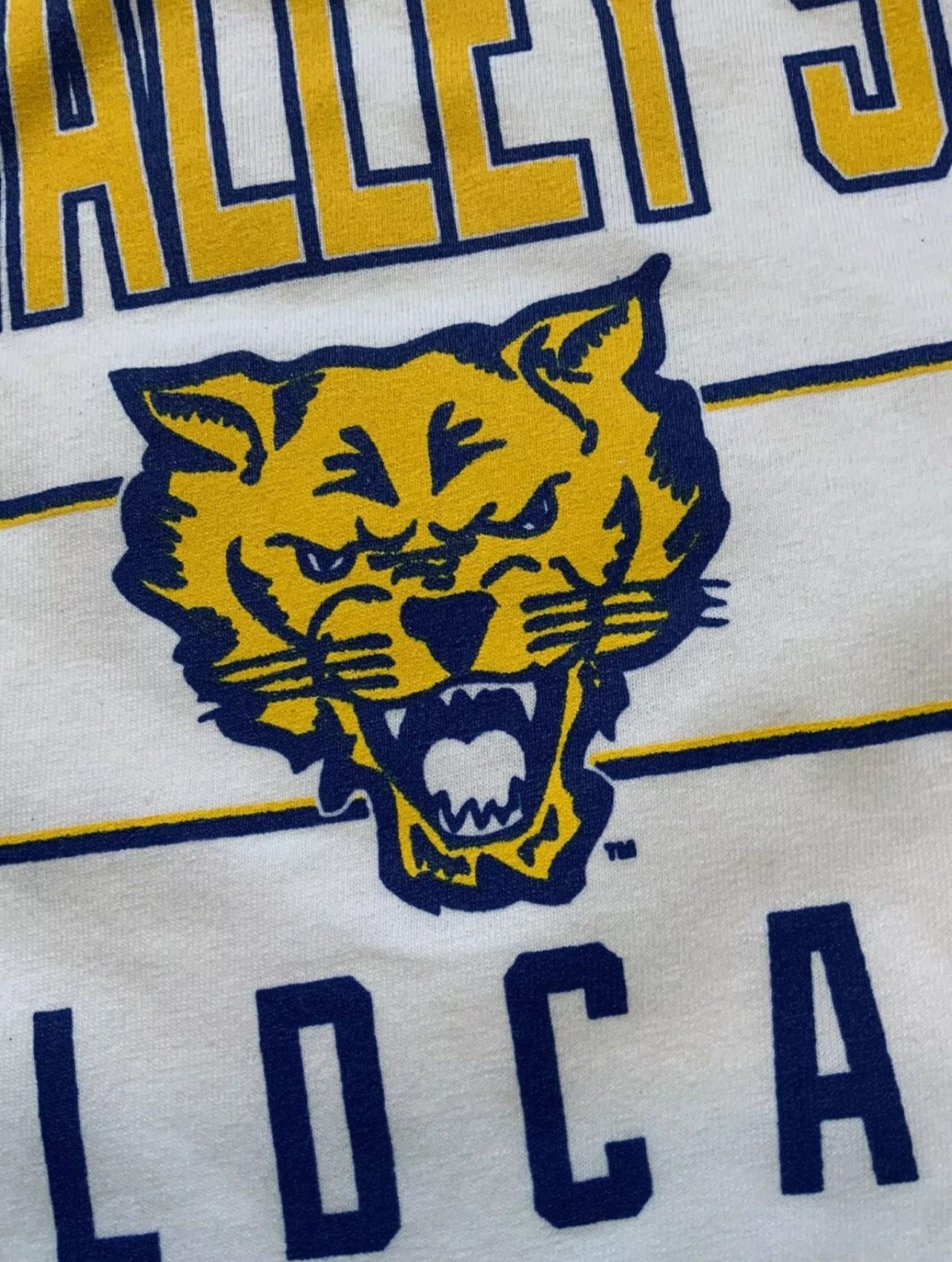 Champion Champion Fort Valley State University Wildcats HBCU T-Shirt Size US S / EU 44-46 / 1 - 6 Thumbnail