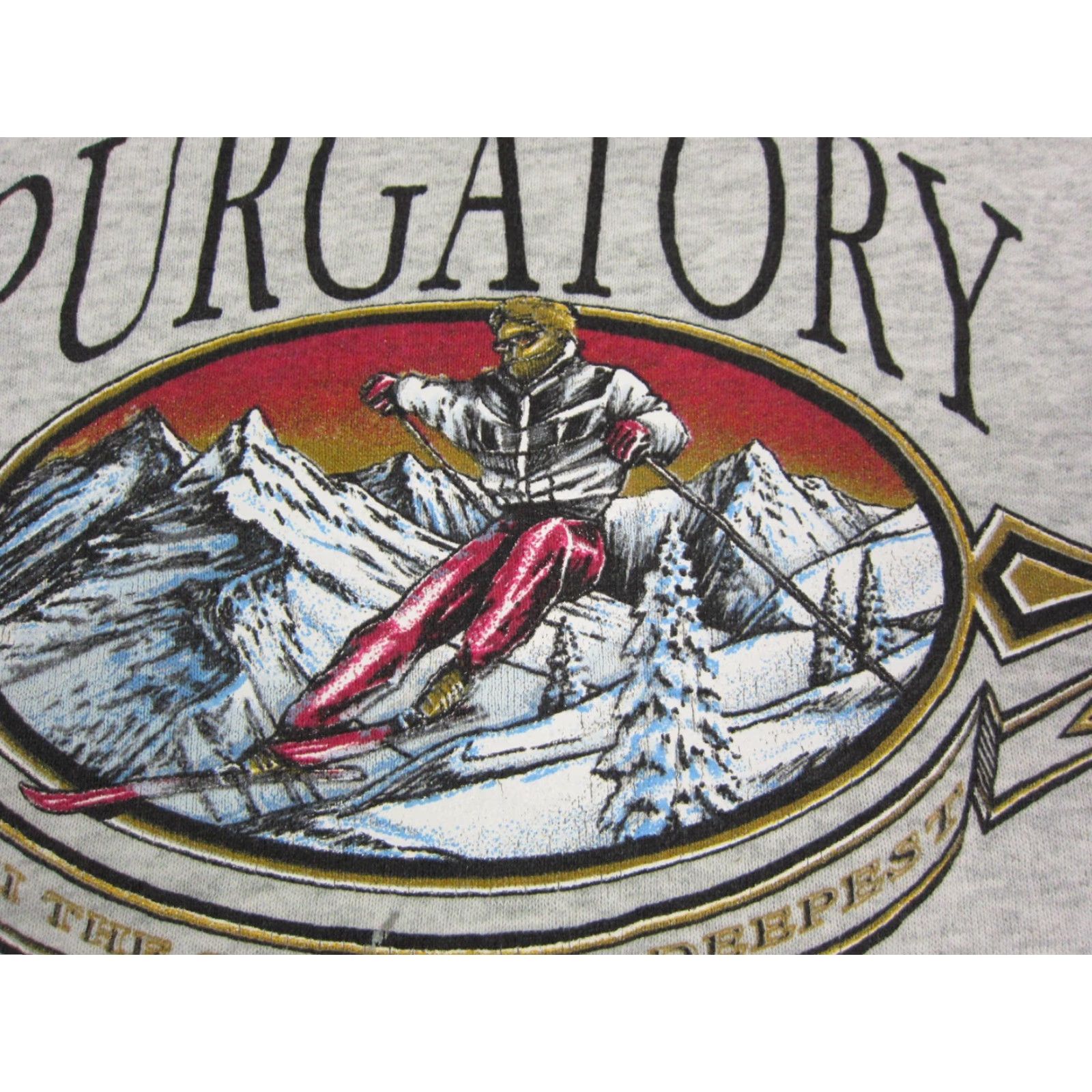 Fruit Of The Loom VINTAGE Fruit of the Loom Sweatshirt Mens 2XL Gray 90s Skiing Logo Pullover Crew Neck Casual/ Gym & Training Mens Size US XXL / EU 58 / 5 - 4 Thumbnail