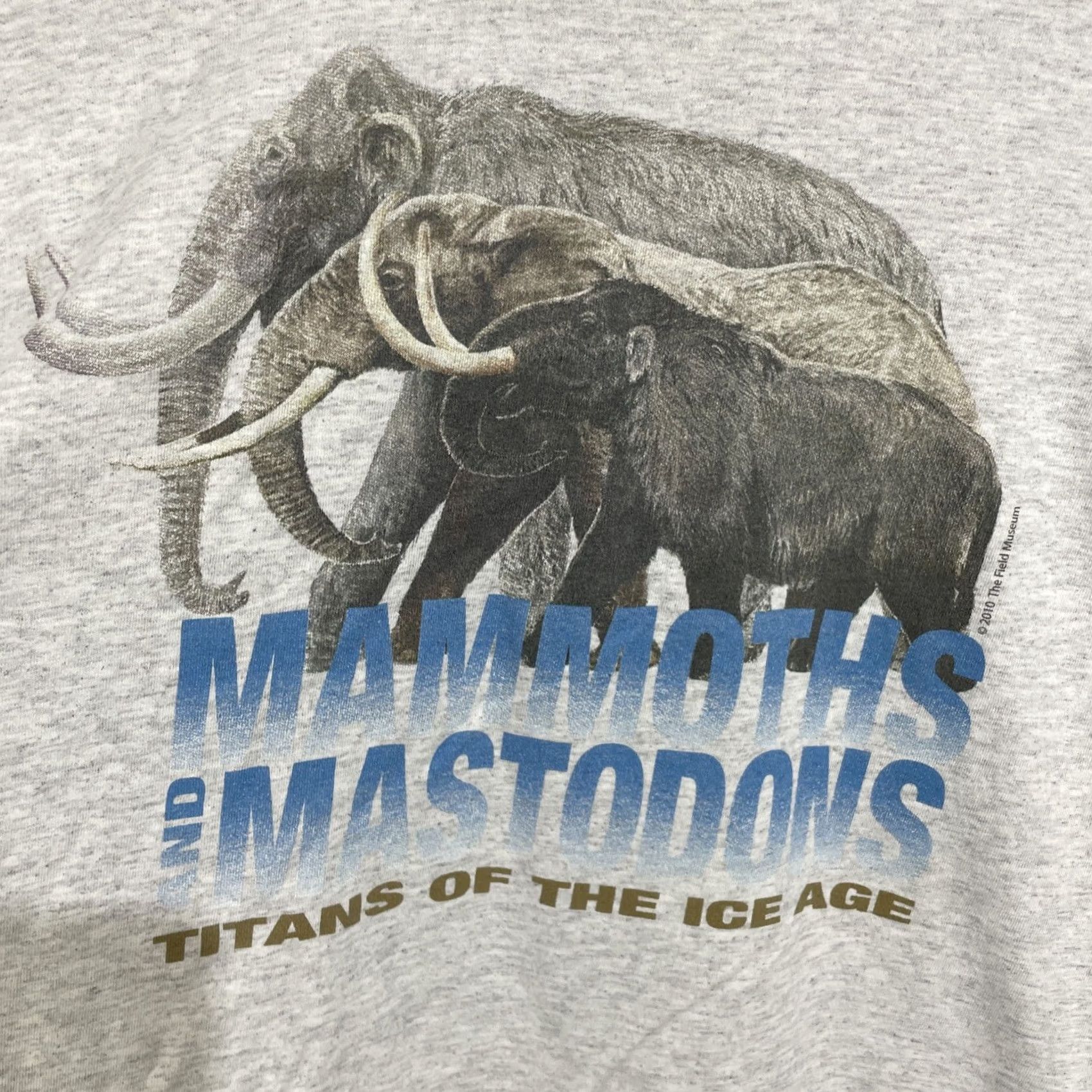 Vintage VINTAGE The Field Museum Mammoths And Mastodons Titans Of The Ice Age T Shirt XL Mens Gray Cotton Short Sleeve Crew Neck Graphic Print Logo DCT Size US XL / EU 56 / 4 - 6 Thumbnail