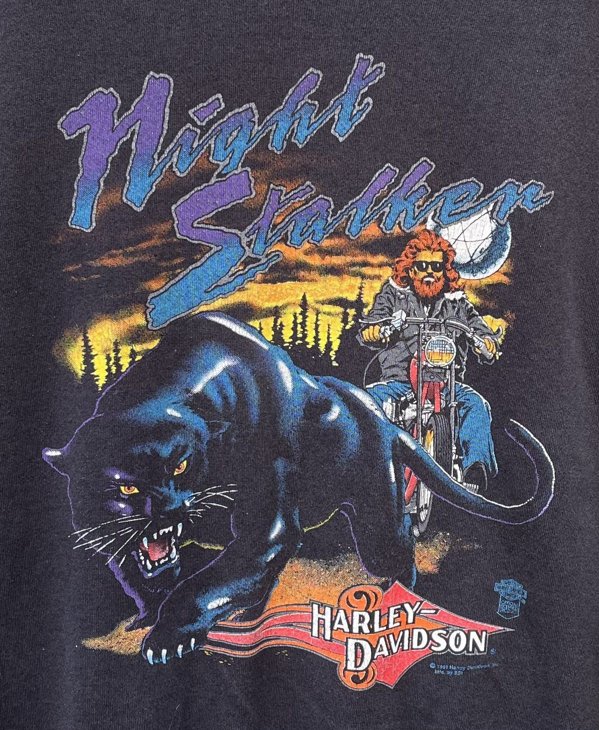Harley Davidson RARE Vintage 1991 Harley Davidson Night Stalker Sweatshirt Size US L / EU 52-54 / 3 - 3 Thumbnail