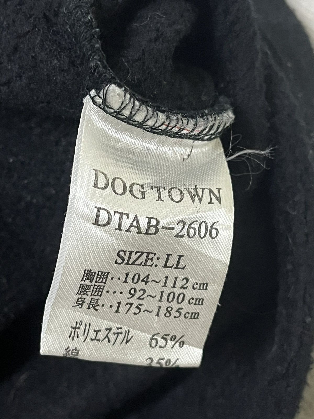 Dogtown × Japanese Brand × Vintage Vintage 90s dogtown black dragon hoodie Size US L / EU 52-54 / 3 - 8 Thumbnail