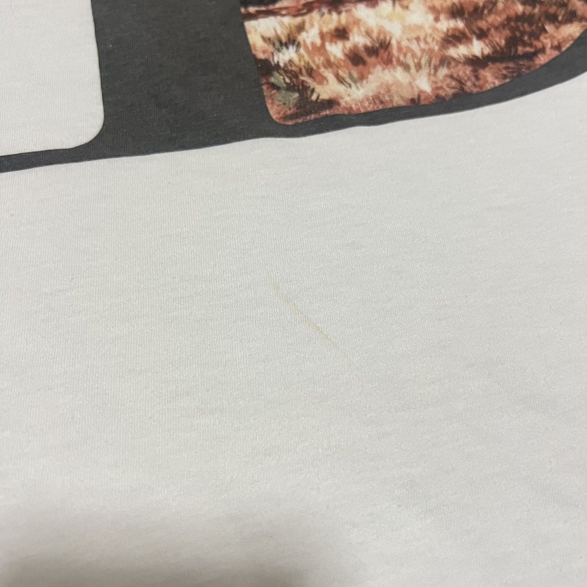 Dior Dior Homme Jack Kerouac Mount Zion T shirt Pre Fall 2022 Size US M / EU 48-50 / 2 - 14 Thumbnail