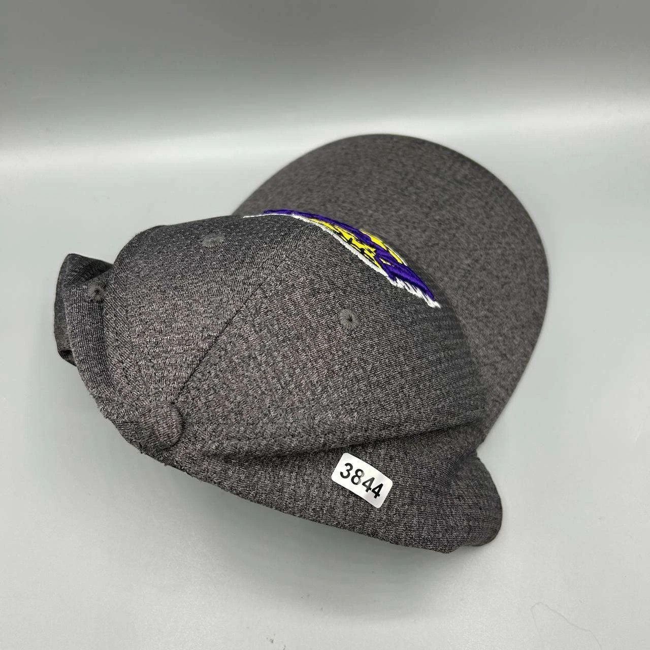 Other Los Angeles LA Lakers Hat Embroidered Fan Favorite Snap Back Size ONE SIZE - 8 Thumbnail