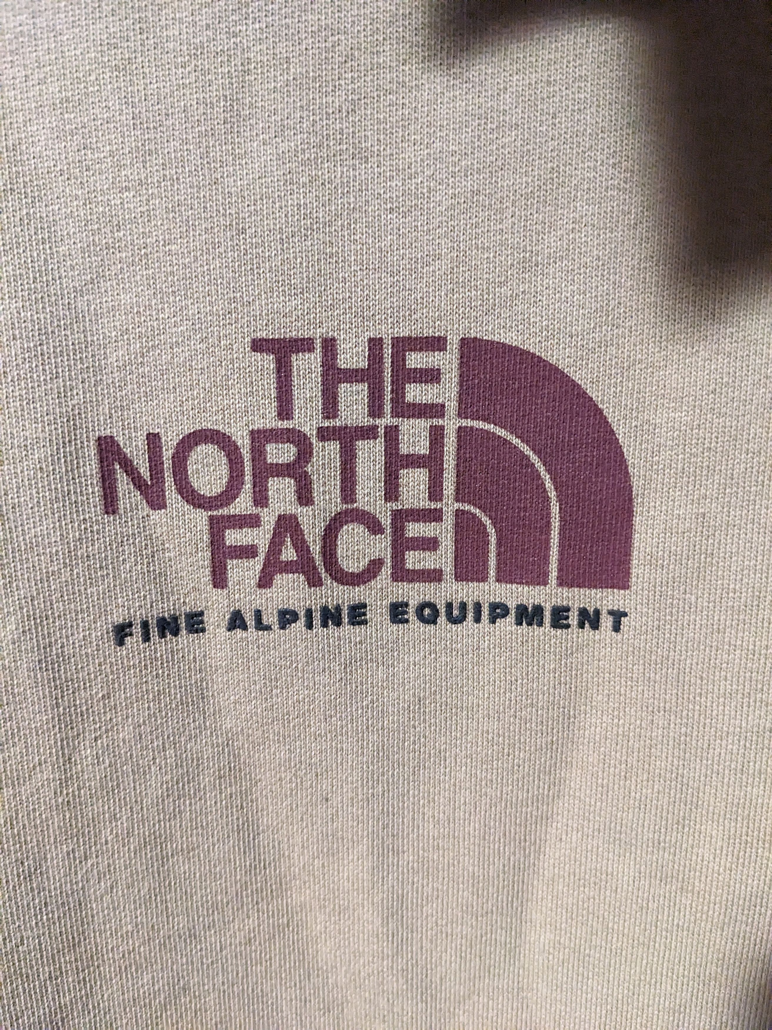 The North Face The North Face Fine Alpine Equipment Center Logo Hoodie Size US M / EU 48-50 / 2 - 2 Thumbnail