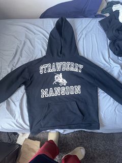 Strawberry Mansion Hoodie | Grailed