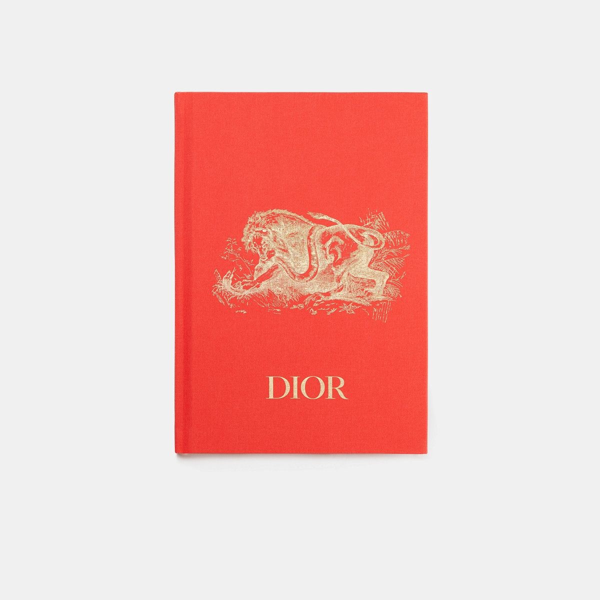 Dior o1bcso1str0226 Size:OS/Notebook in Red Size ONE SIZE - 1 Thumbnail