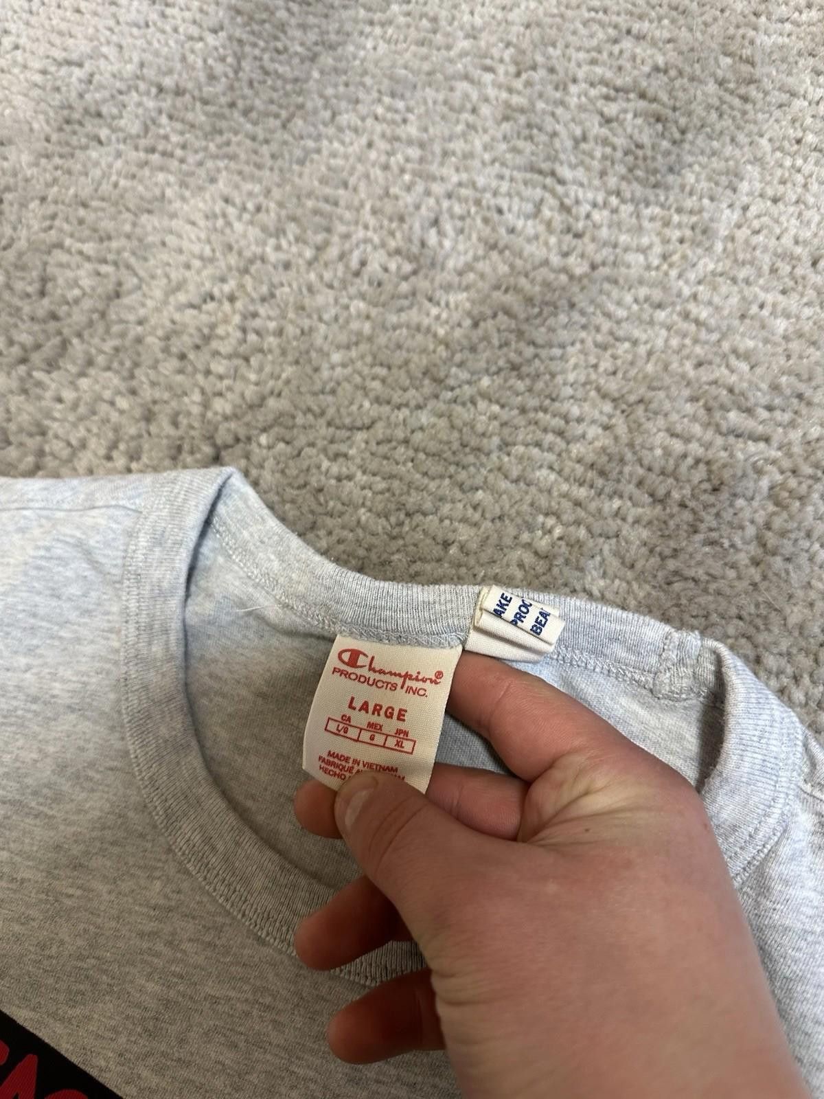 Champion Champion x Beastie Boys - Check Your Head T-Shirt Sz L Size US L / EU 52-54 / 3 - 4 Thumbnail