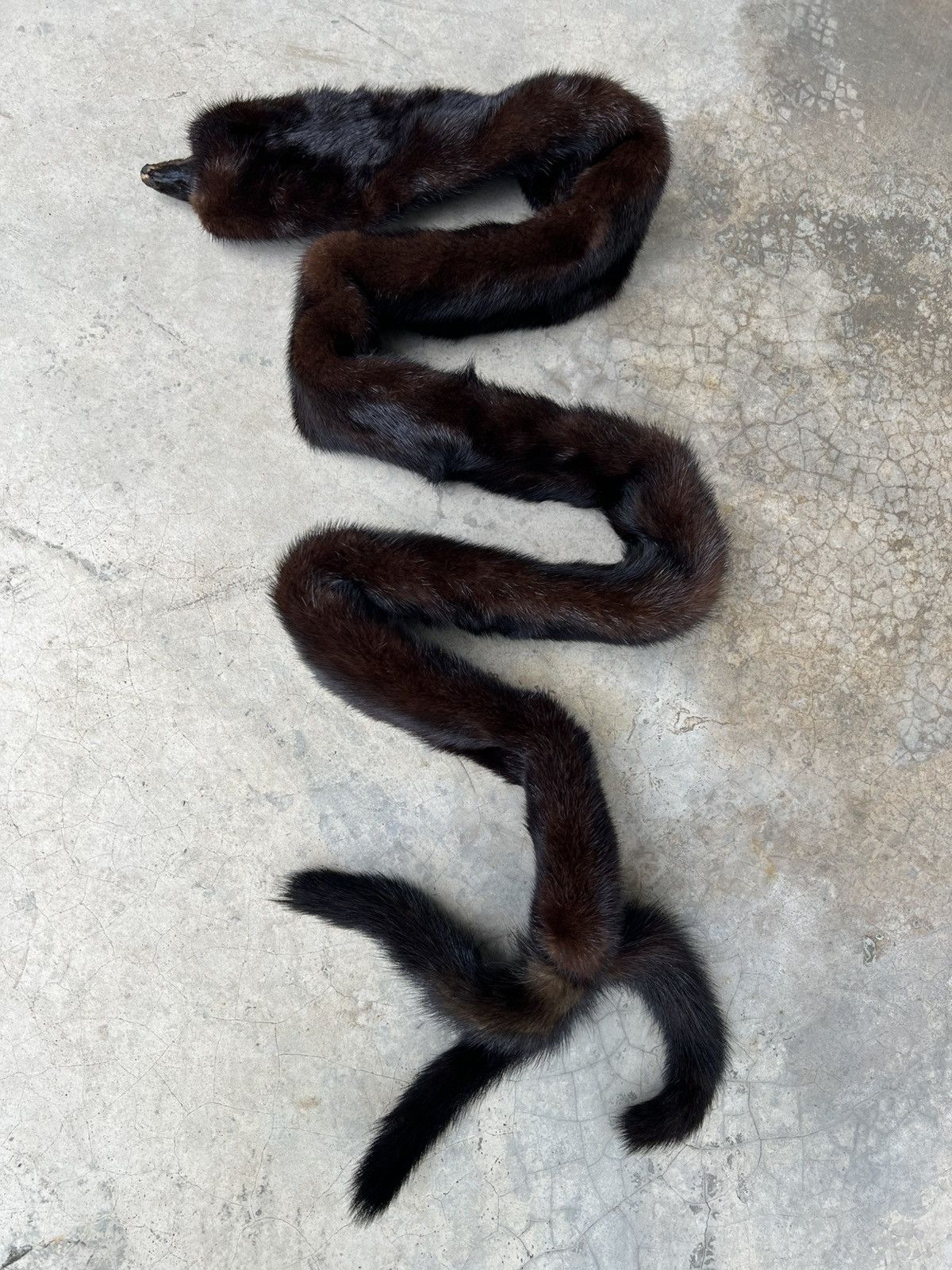 Other 🔥HOT DROPS🔥FOX FUR NECK WARMER RARE DESIGNER Size ONE SIZE - 3 Thumbnail