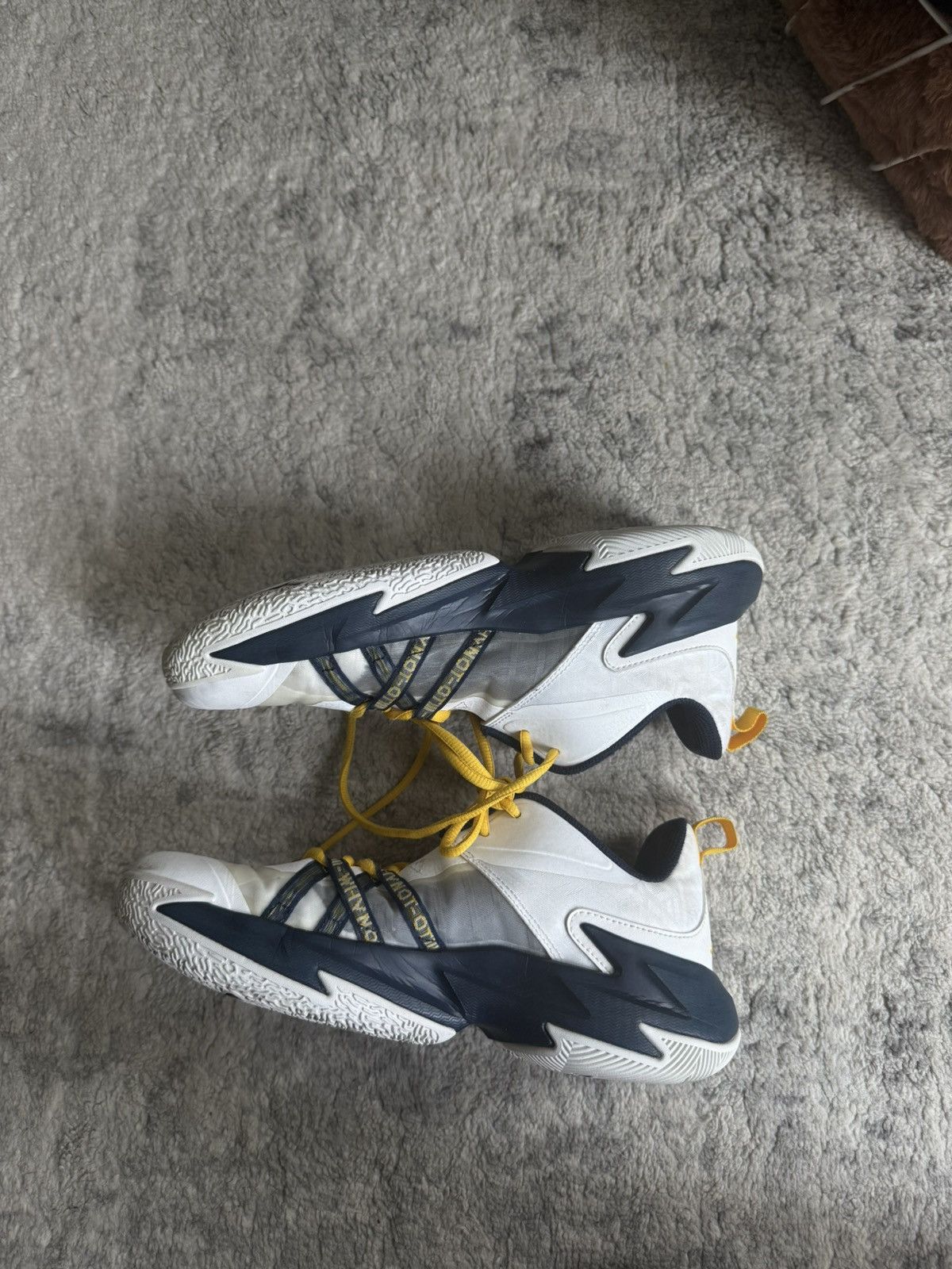 Jordan Brand Michigan PE’s Size US 8 / EU 41 - 2 Thumbnail