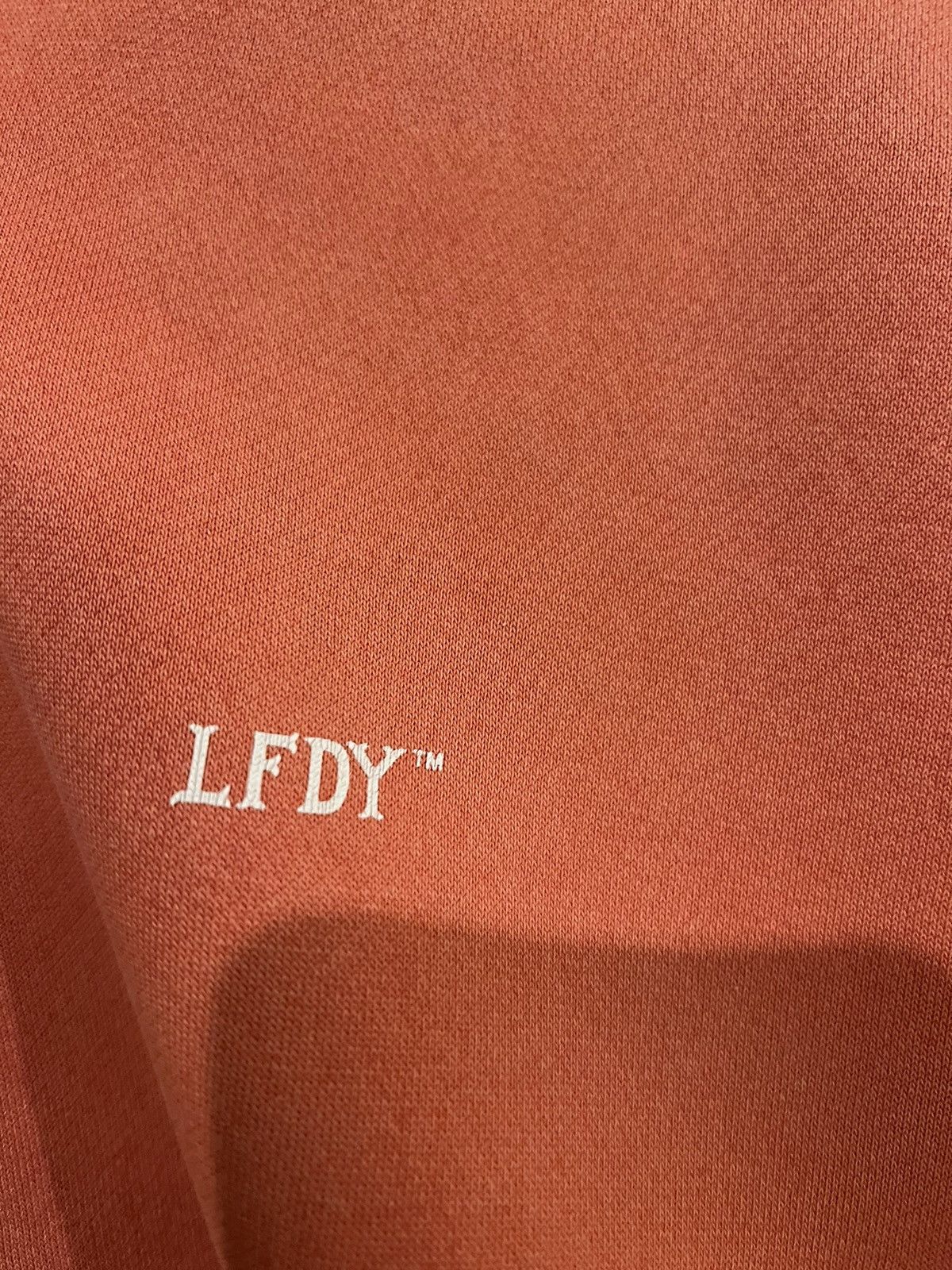 LFDY LFDY Pink Hoodie Size US L / EU 52-54 / 3 - 3 Thumbnail