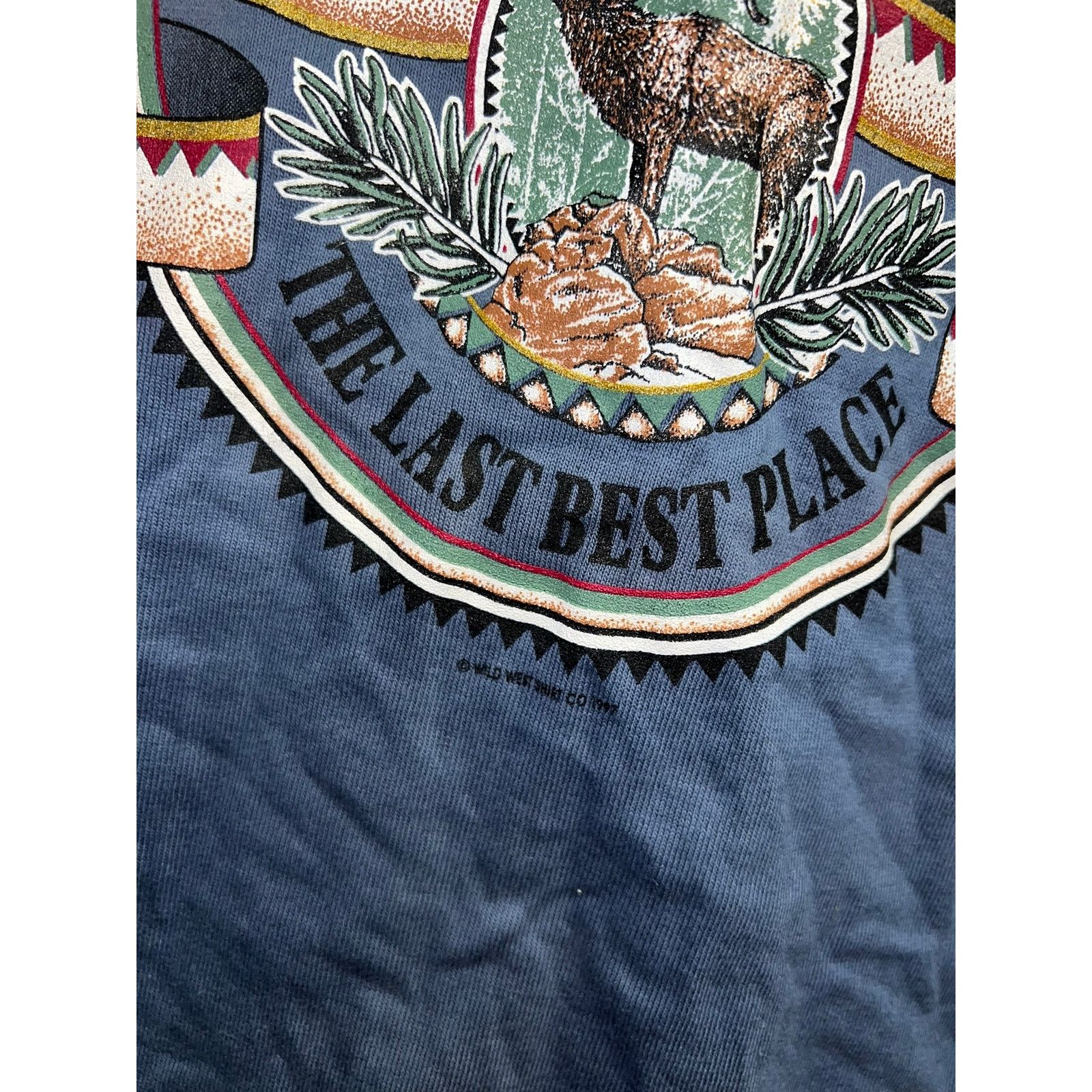 Anvil Vintage Montana Shirt The Last Best Place Blue Large L 90s Size US L / EU 52-54 / 3 - 10 Thumbnail