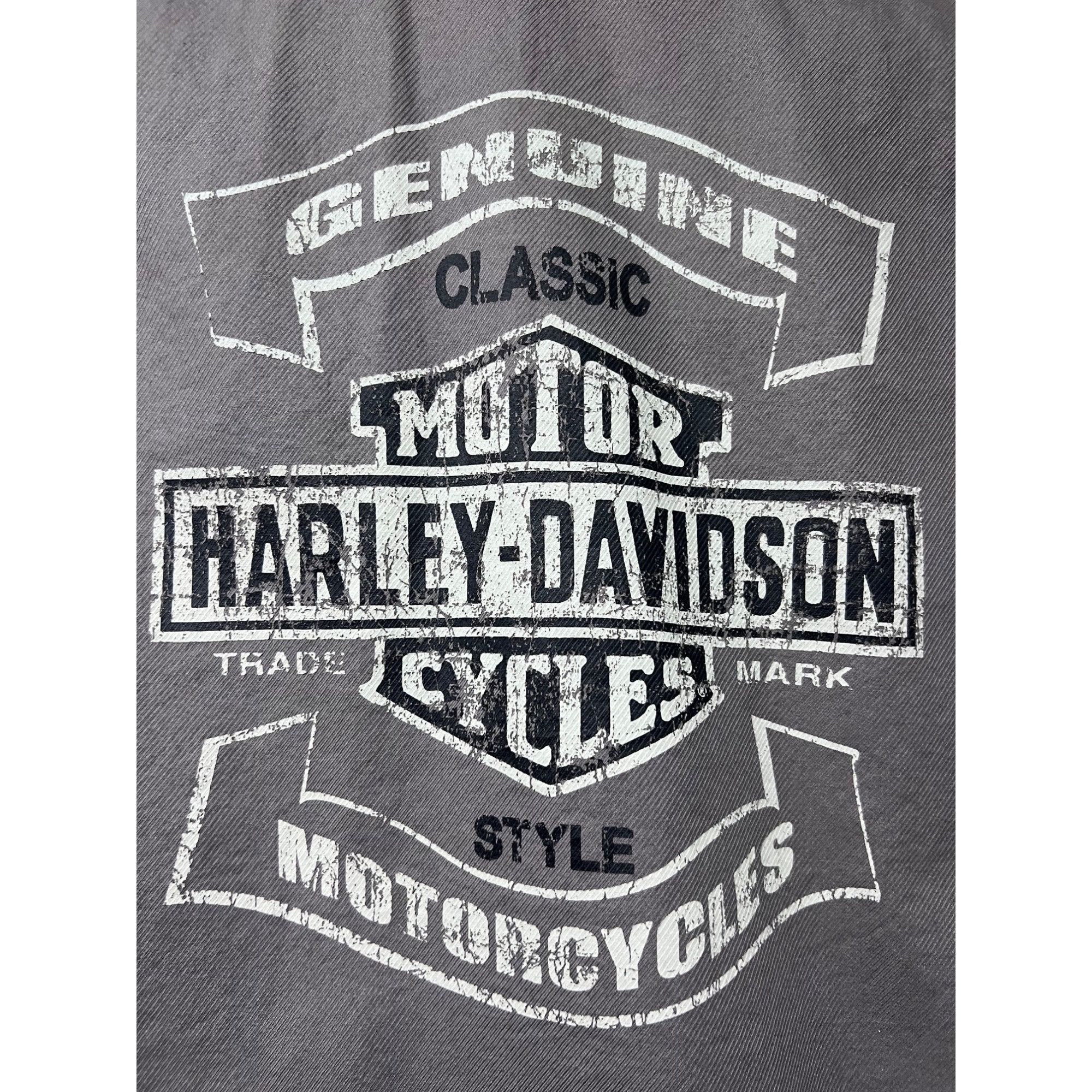 Harley Davidson Harley Davidson Mens Mechanic Garage Gray Double Graphic But Size US XXL / EU 58 / 5 - 5 Thumbnail