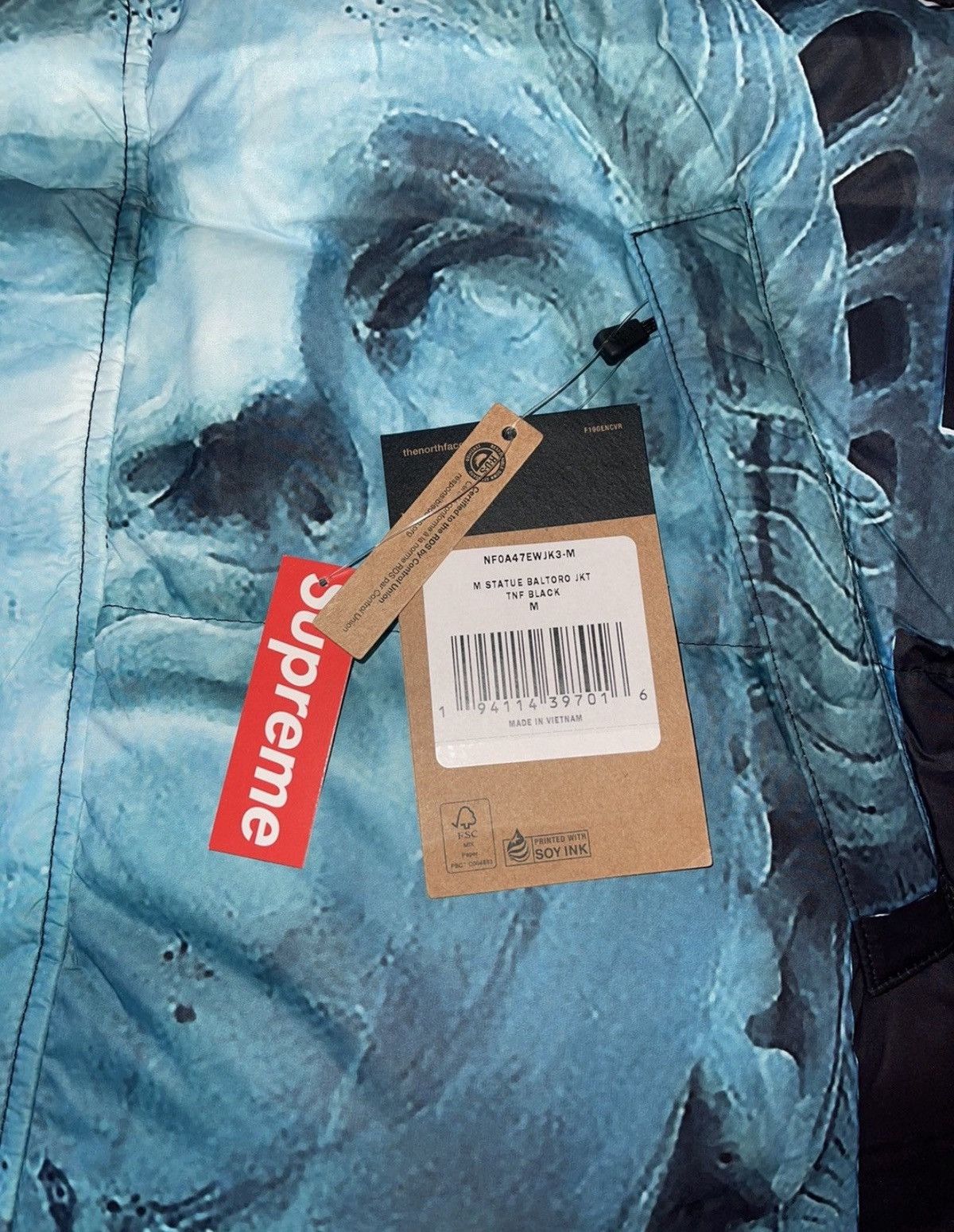 Supreme × The North Face SUPREME THE NORTH FACE STATUE OF LIBERTY BALTORO JACKET Size US M / EU 48-50 / 2 - 5 Thumbnail
