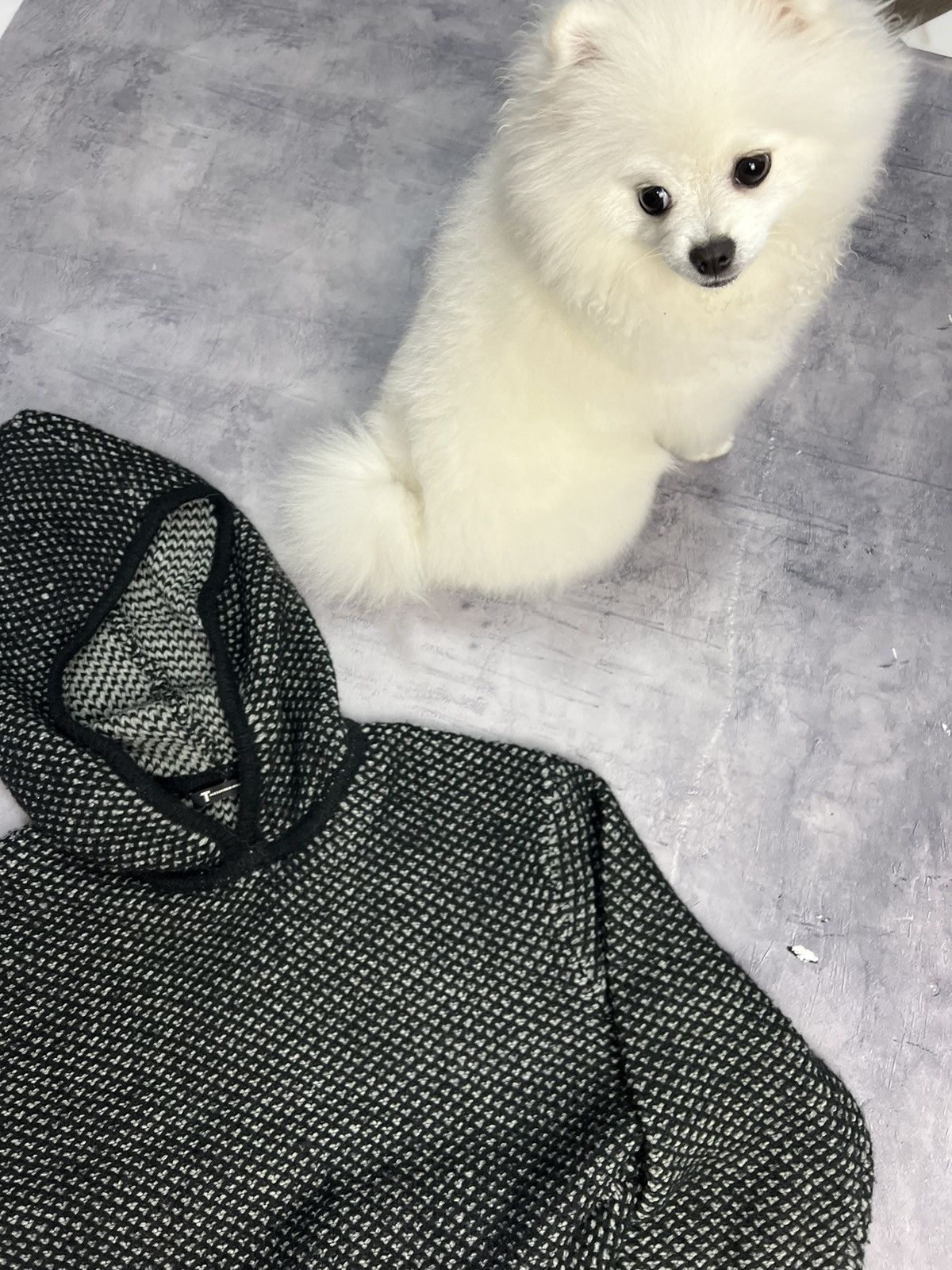 Alexander Wang Alexander Wang Knitted Woolen Hoodie Archive Clothing Size US M / EU 48-50 / 2 - 6 Thumbnail