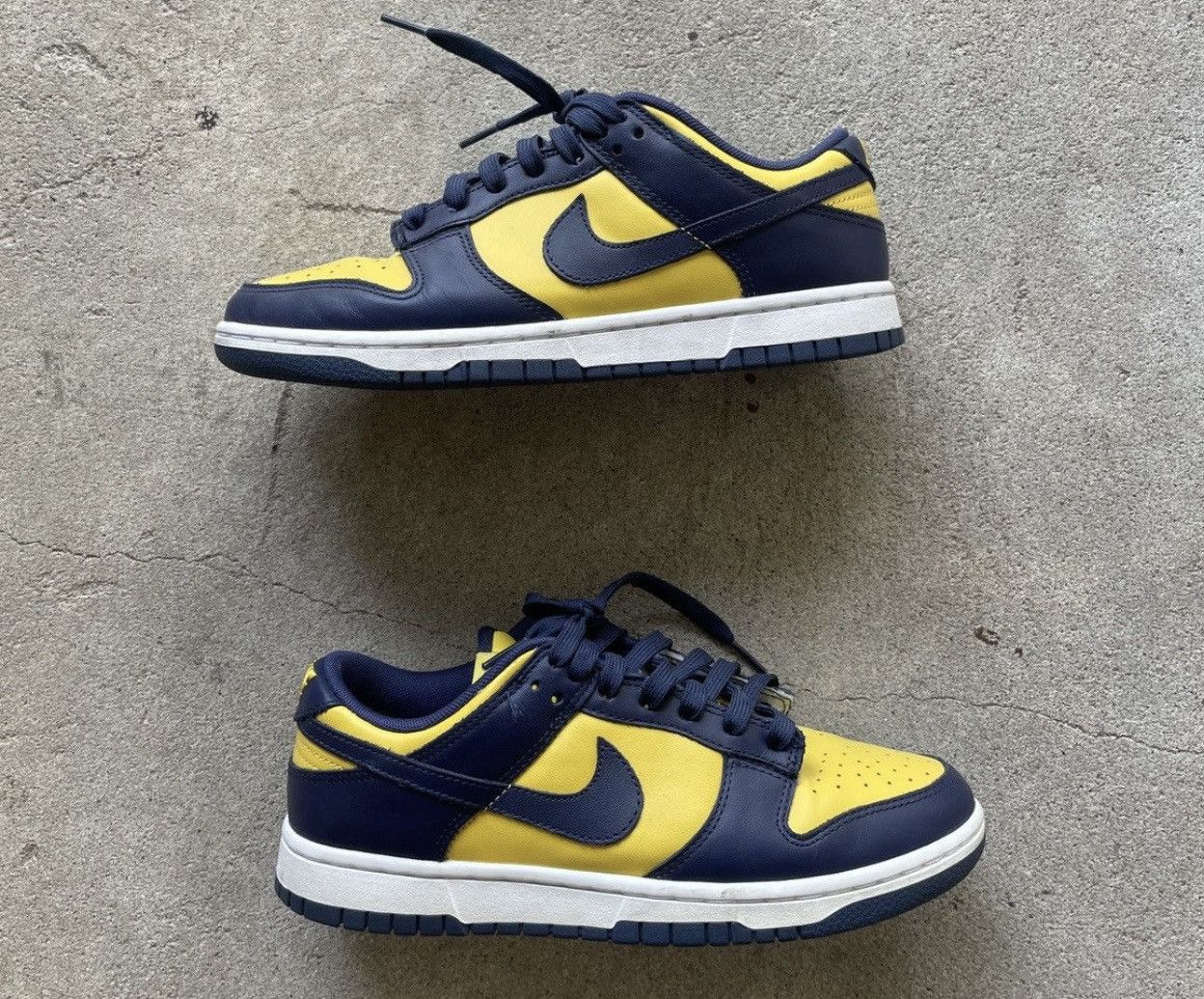 Nike dunks Michigan