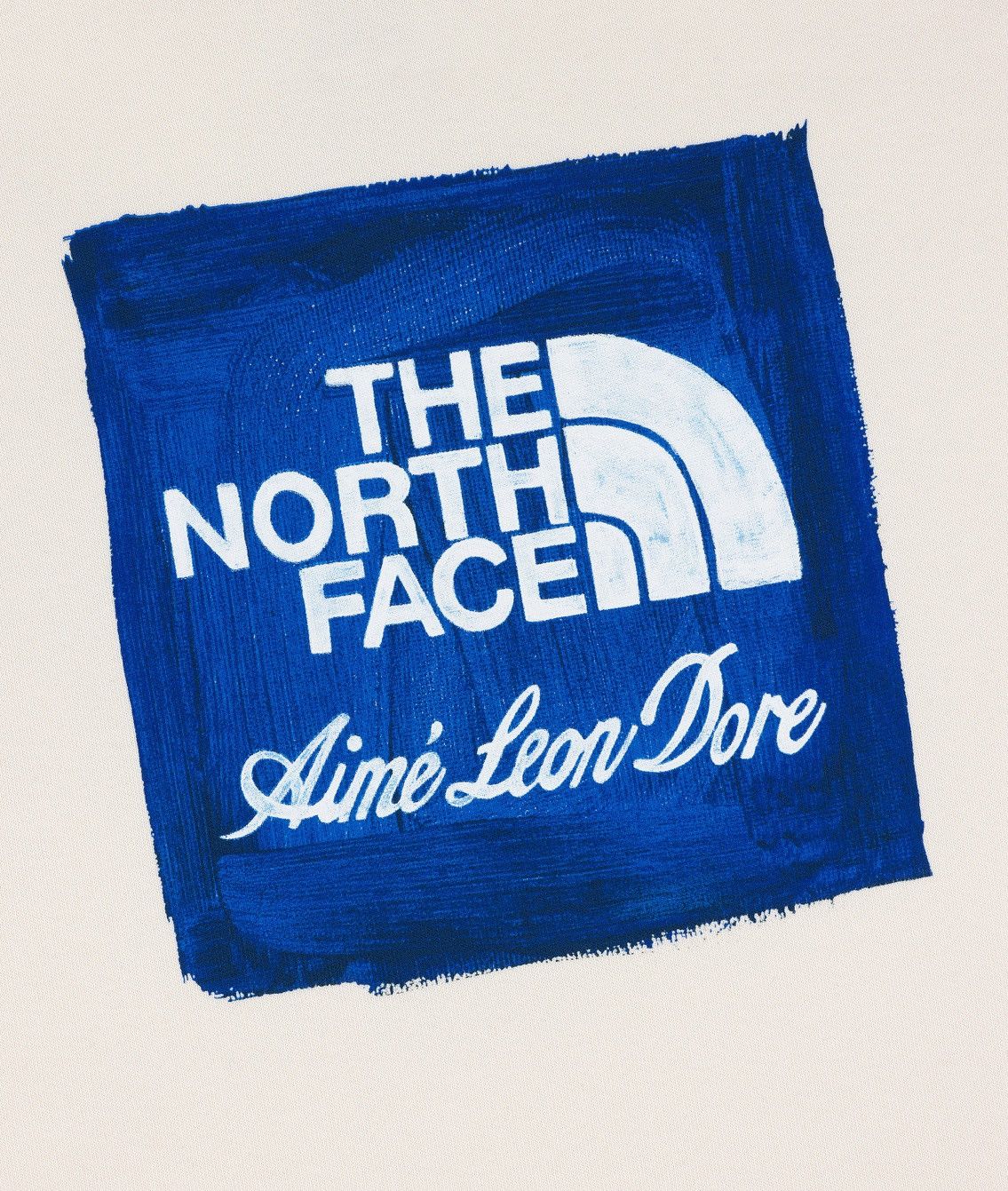 Aime Leon Dore Aime Leon Dore ALD / The North Face Logo Hoodie Pristine XXL Size US XXL / EU 58 / 5 - 4 Thumbnail