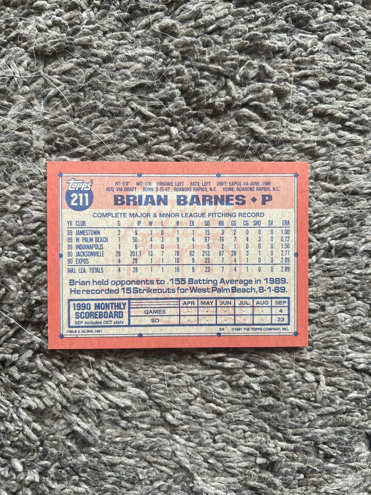 MLB 1991 Topps #211 Brian Barnes Card Size ONE SIZE - 2 Thumbnail