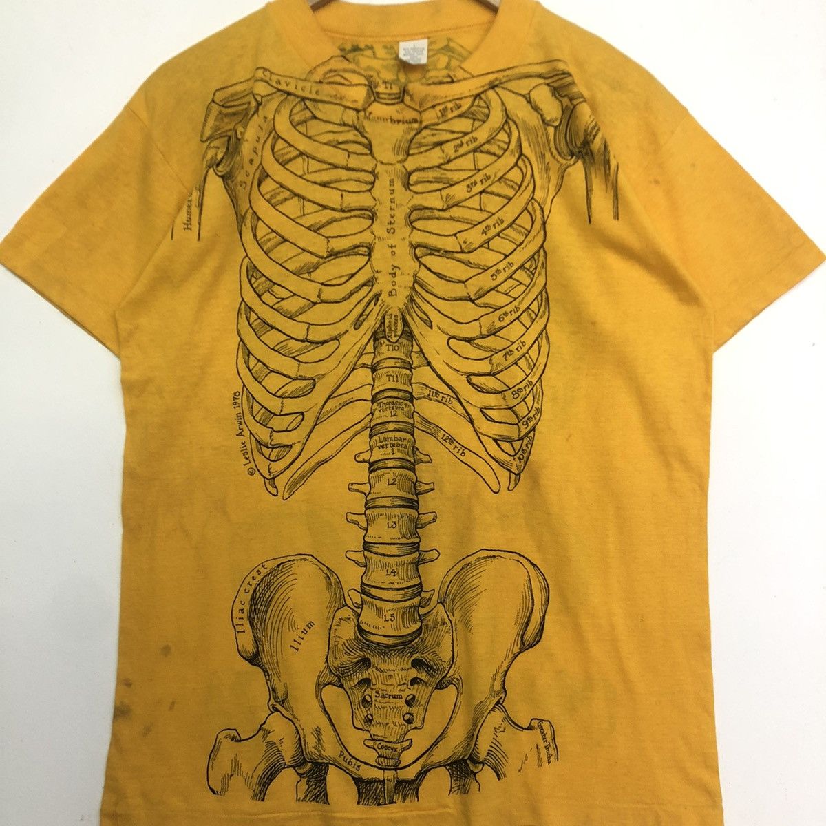 Art Comes First VINTAGE ART LESLIE ARWIN 1978 ANATOMY SKULL BONES TSHIRT Size US L / EU 52-54 / 3 - 3 Thumbnail