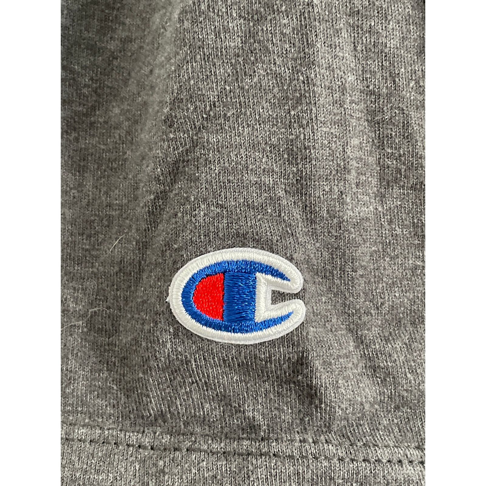 Champion Champion Men's Classic Graphic Jersey Script Tee Shirt Size US L / EU 52-54 / 3 - 3 Thumbnail