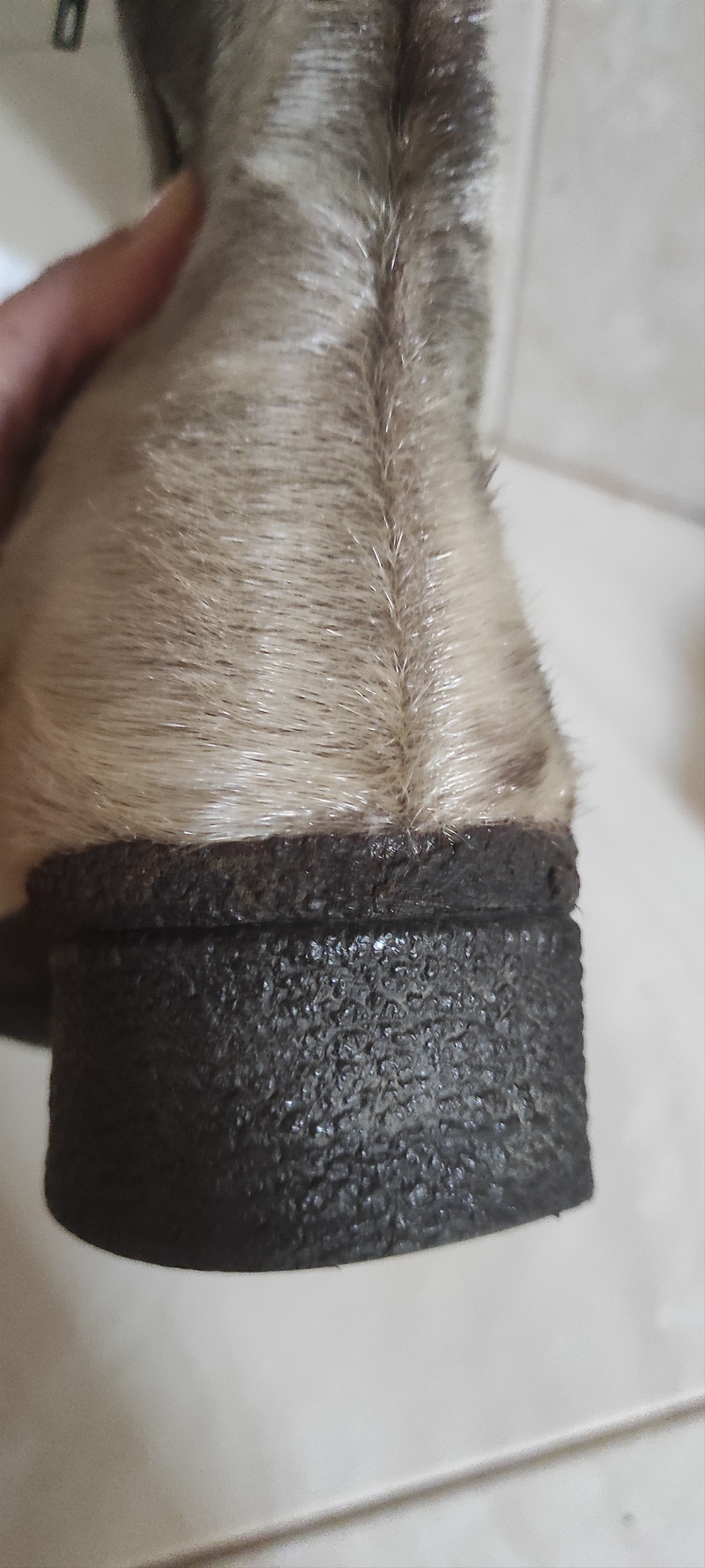 Other Luna eskimod Genuine Leather Fur Lined St Moritz Boots Size US 8 / IT 38 - 11 Thumbnail