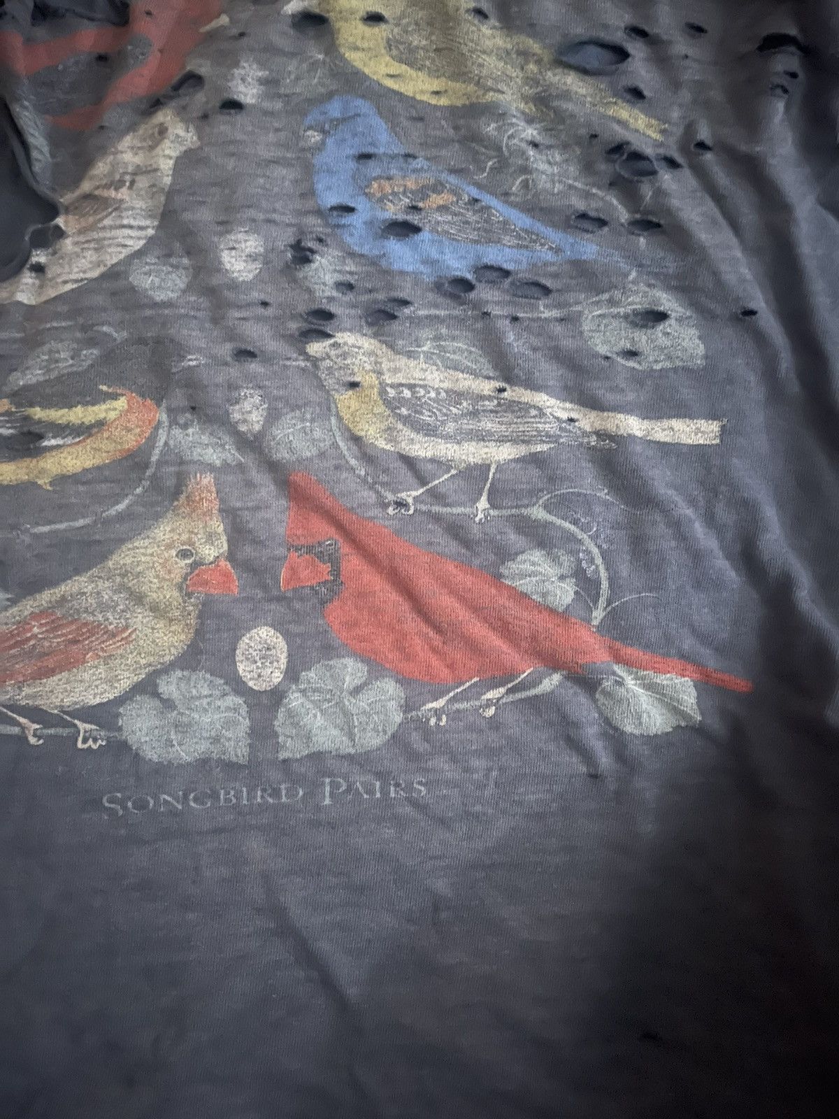 Vintage Maine songbird tee Size US S / EU 44-46 / 1 - 3 Thumbnail