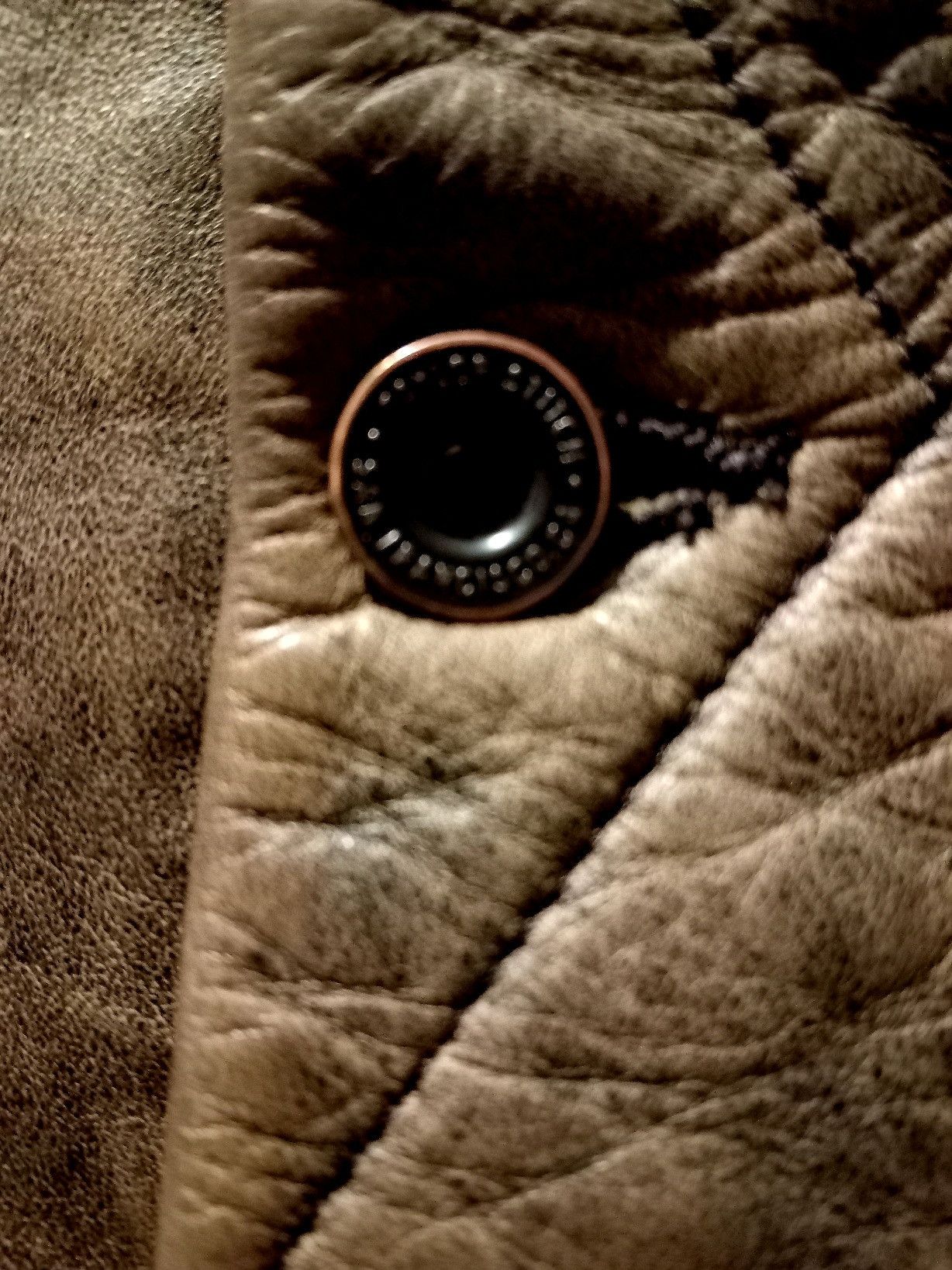 Golden Bear × Taylor Stitch Long Haul Size US XXS / EU 40 - 5 Thumbnail