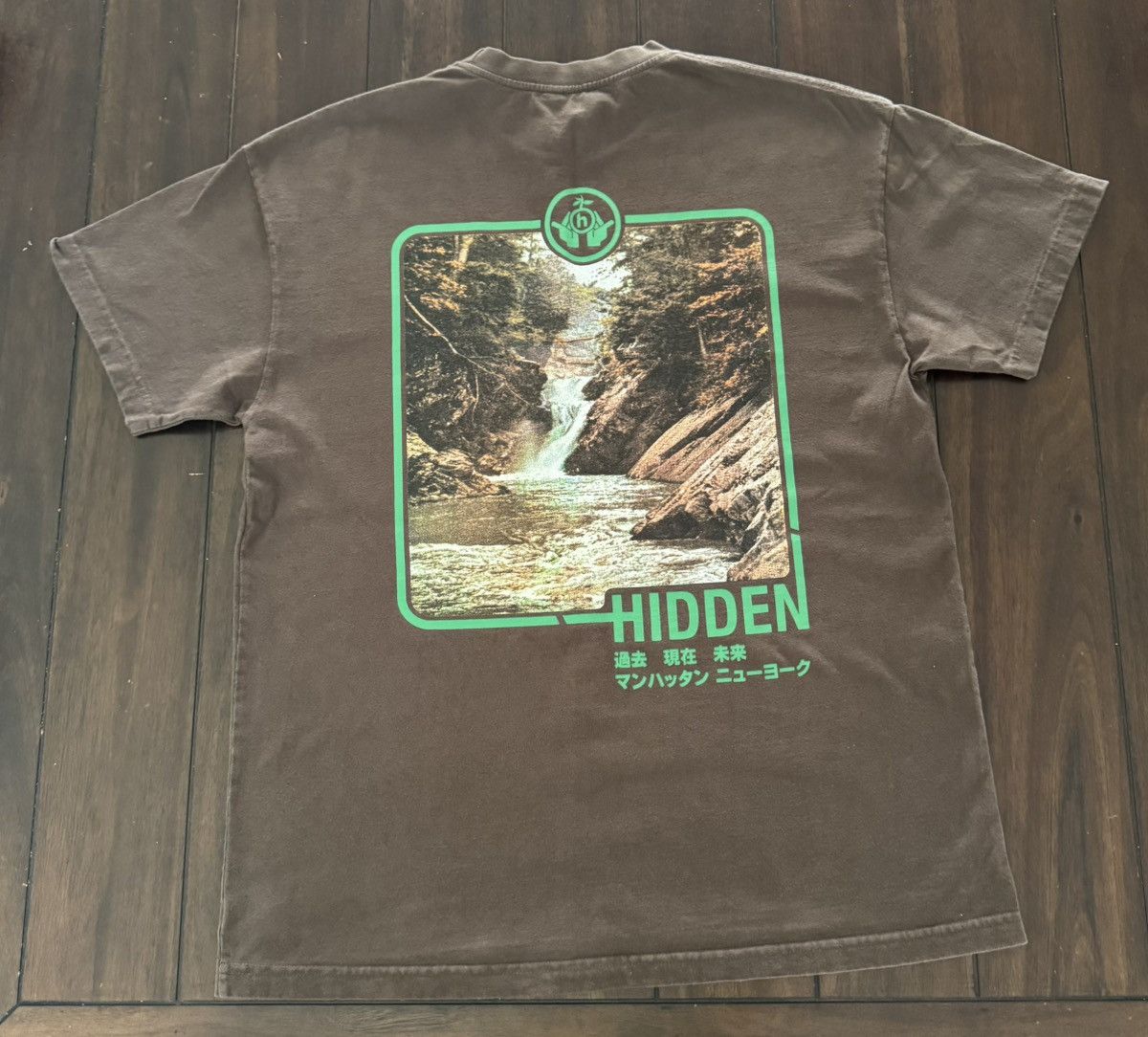 HIDDEN NY waterfall tee shirt brown- size Large