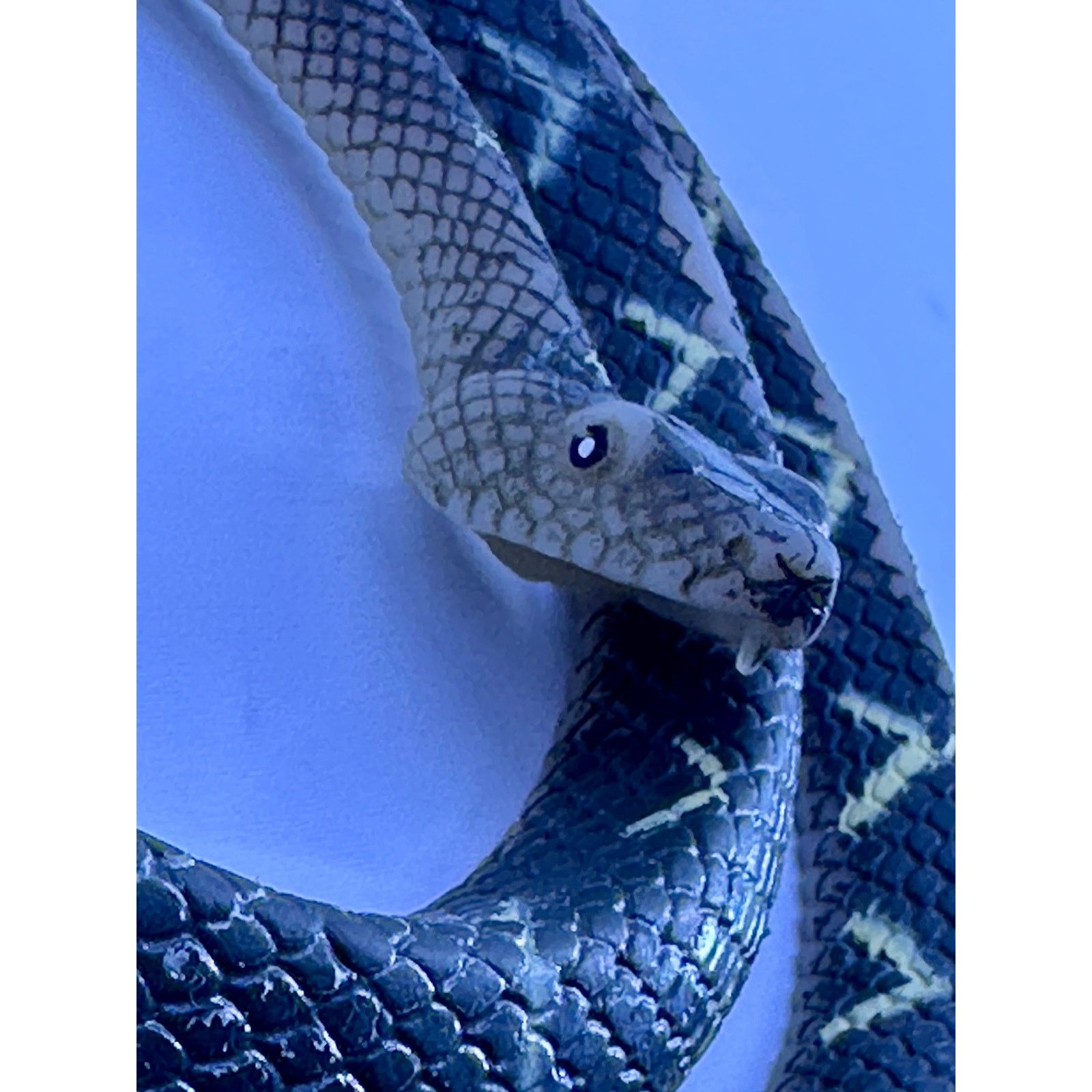 & Other Stories Plastic Snakes Bundle Of 2 Green And Tan 56” long Size ONE SIZE - 5 Thumbnail